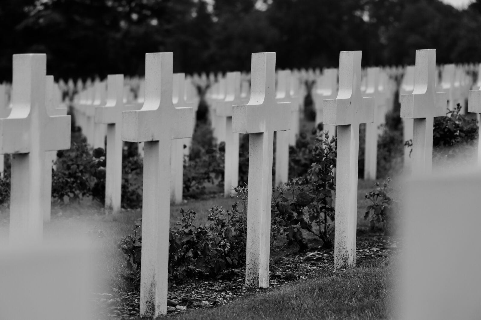 Canon EOS 800D (EOS Rebel T7i / EOS Kiss X9i) sample photo. Halloween, cross, cemetery photography
