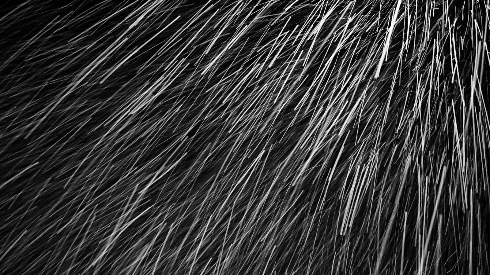 Sony DT 16-50mm F2.8 SSM sample photo. Nature, night, snow photography