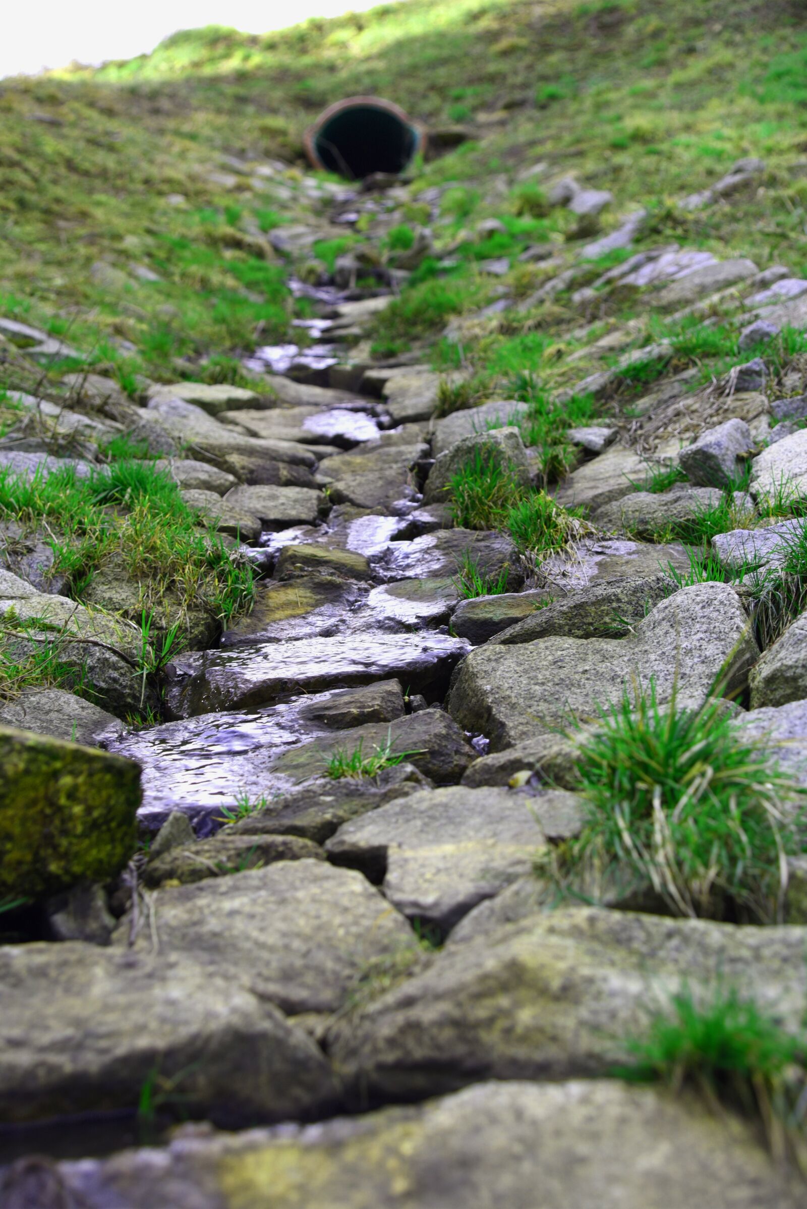 Nikon D750 sample photo. Water, bach, stones photography
