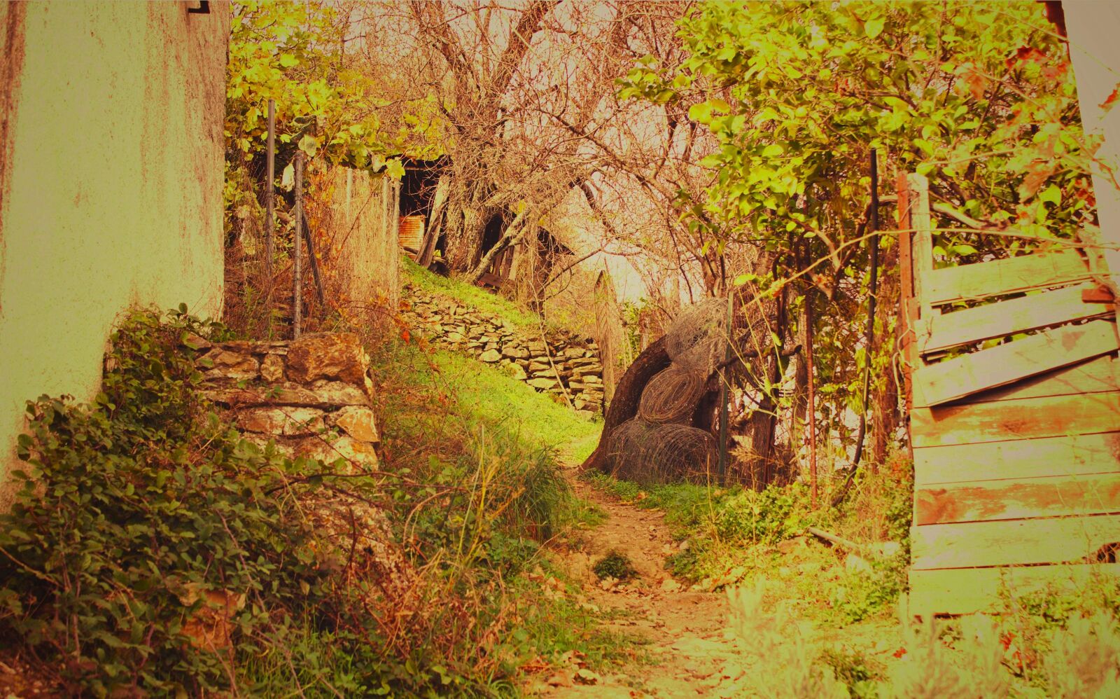 Canon EOS 600D (Rebel EOS T3i / EOS Kiss X5) sample photo. Benalauria, nature, andalusia photography