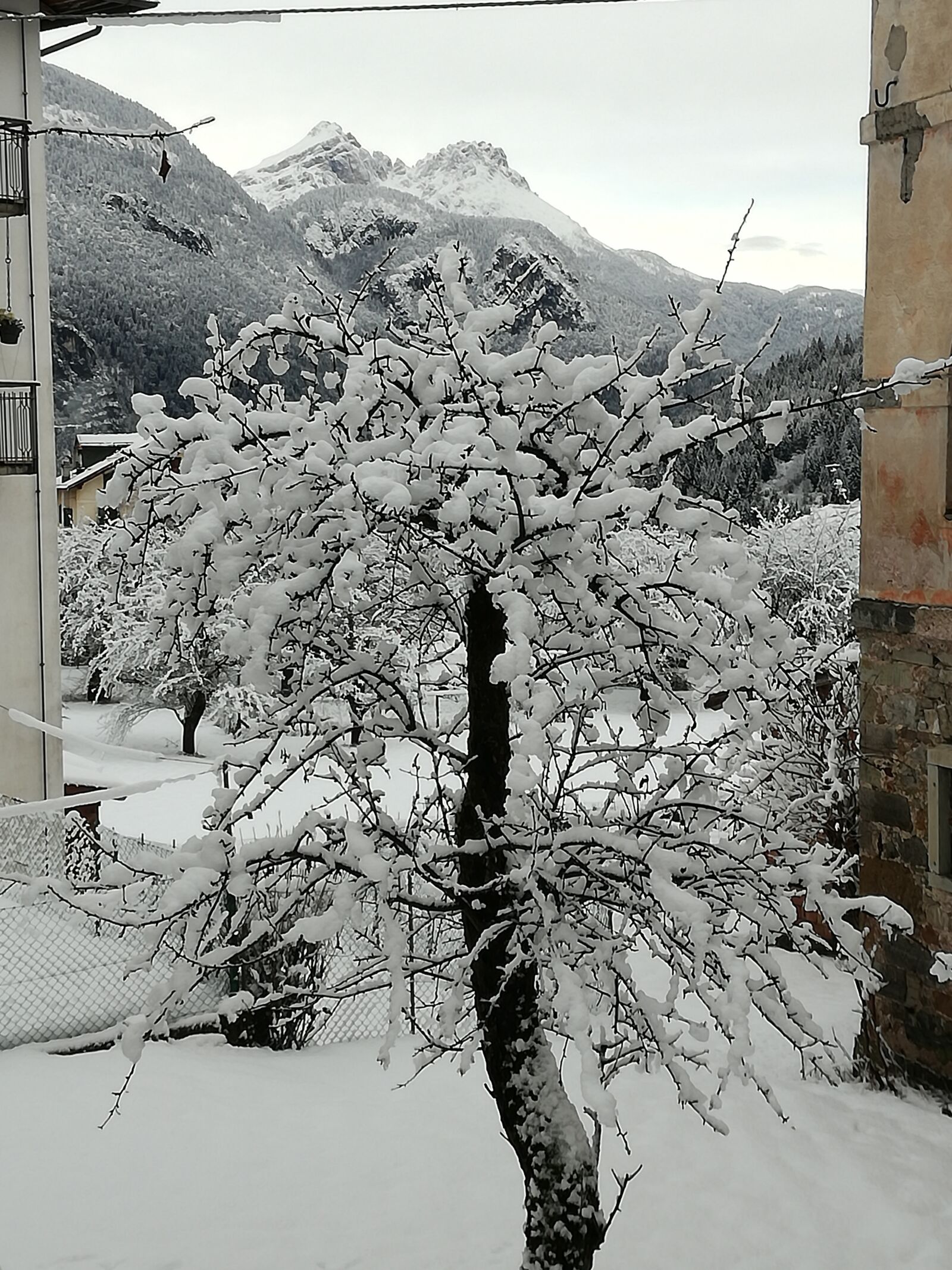 HUAWEI P9 LITE sample photo. Snow, winter, nature photography