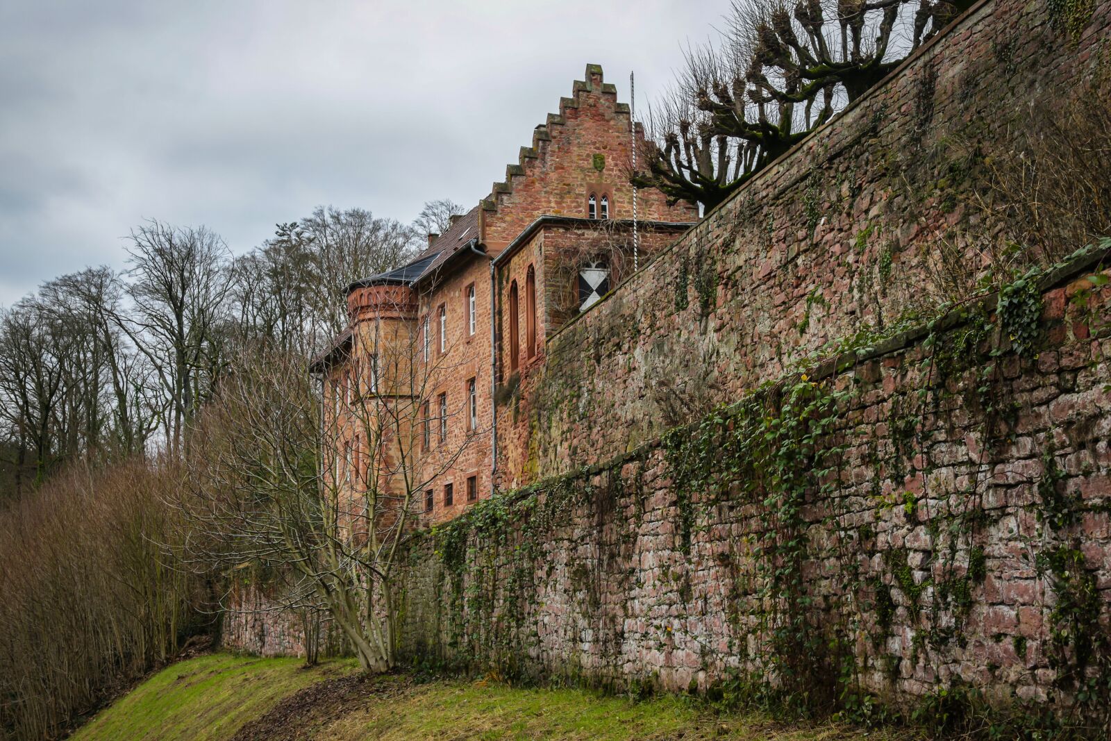 Canon EF 24-105mm F4L IS USM sample photo. Neckarsteinach, castle, medium castle photography