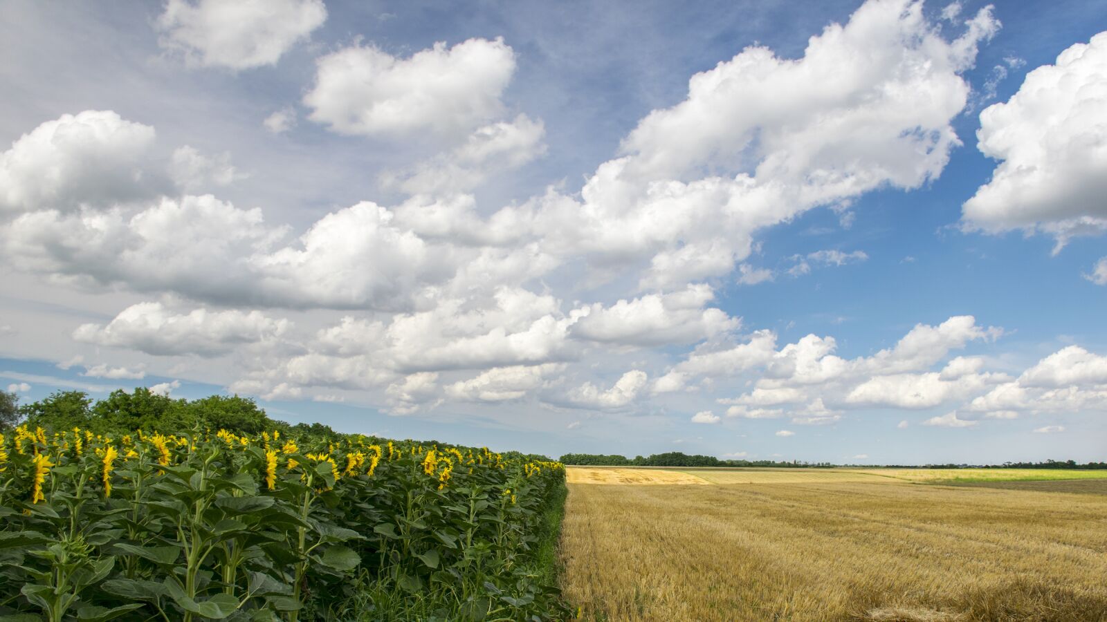 Nikon D5300 sample photo. Clouds, égkép, agriculture photography