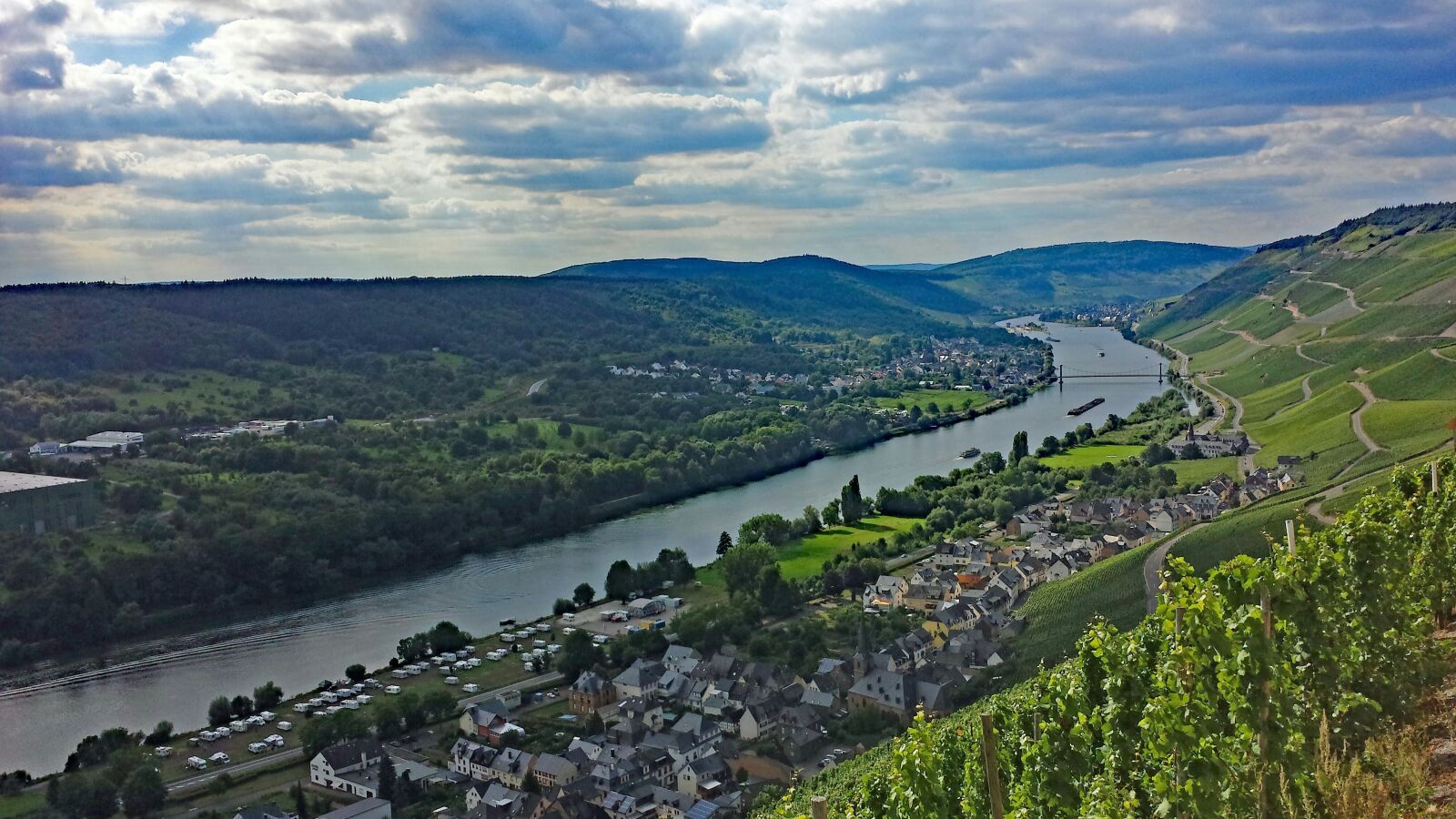 Samsung Galaxy S4 sample photo. Graach, sheep farm, mosel photography