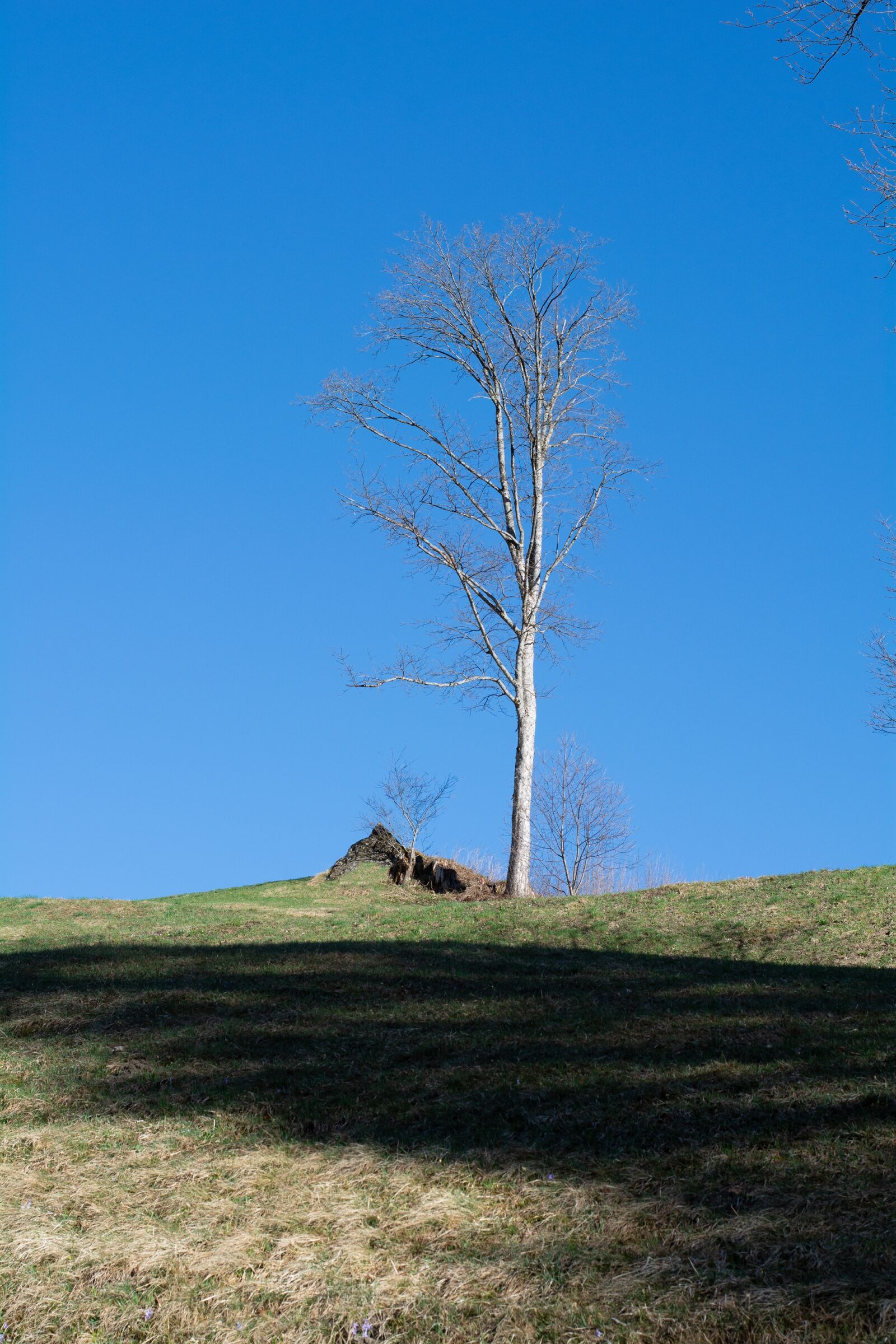 Nikon D7100 sample photo. Landscape, nature, sky photography