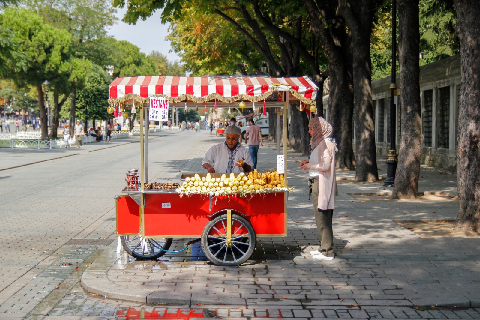 Canon EOS 550D (EOS Rebel T2i / EOS Kiss X4) sample photo. Istanbul, constantinople, turkey photography