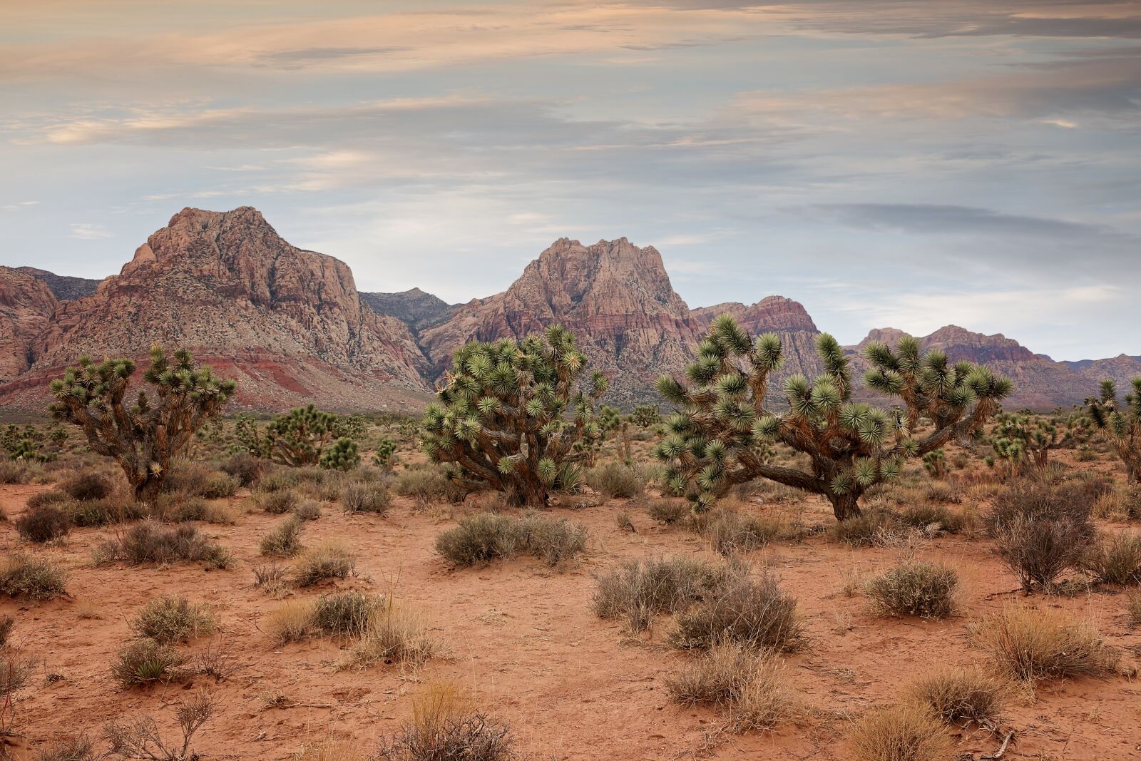 Canon EOS 70D sample photo. Bonnie springs ranch, rock photography