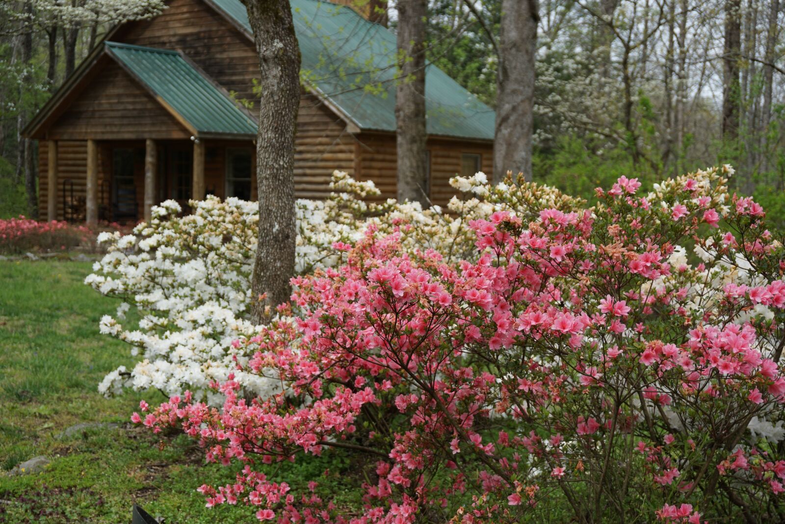Sony E 16-50mm F3.5-5.6 PZ OSS sample photo. Cabin, smoky mountains, spring photography