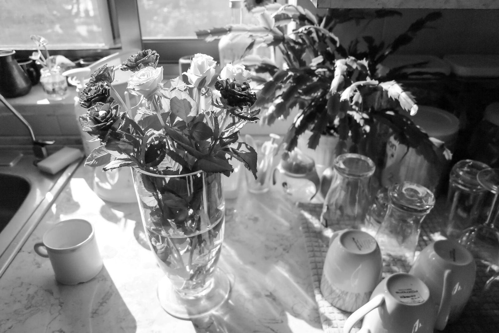 Canon PowerShot G1 X sample photo. Afternoon, cups, flowers, glasses photography