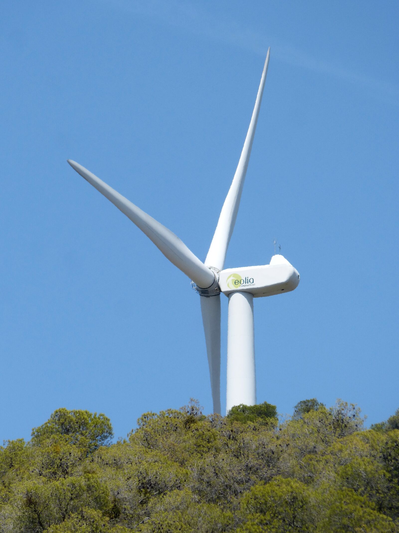 Panasonic DMC-FZ62 sample photo. Mill, wind turbine, top photography