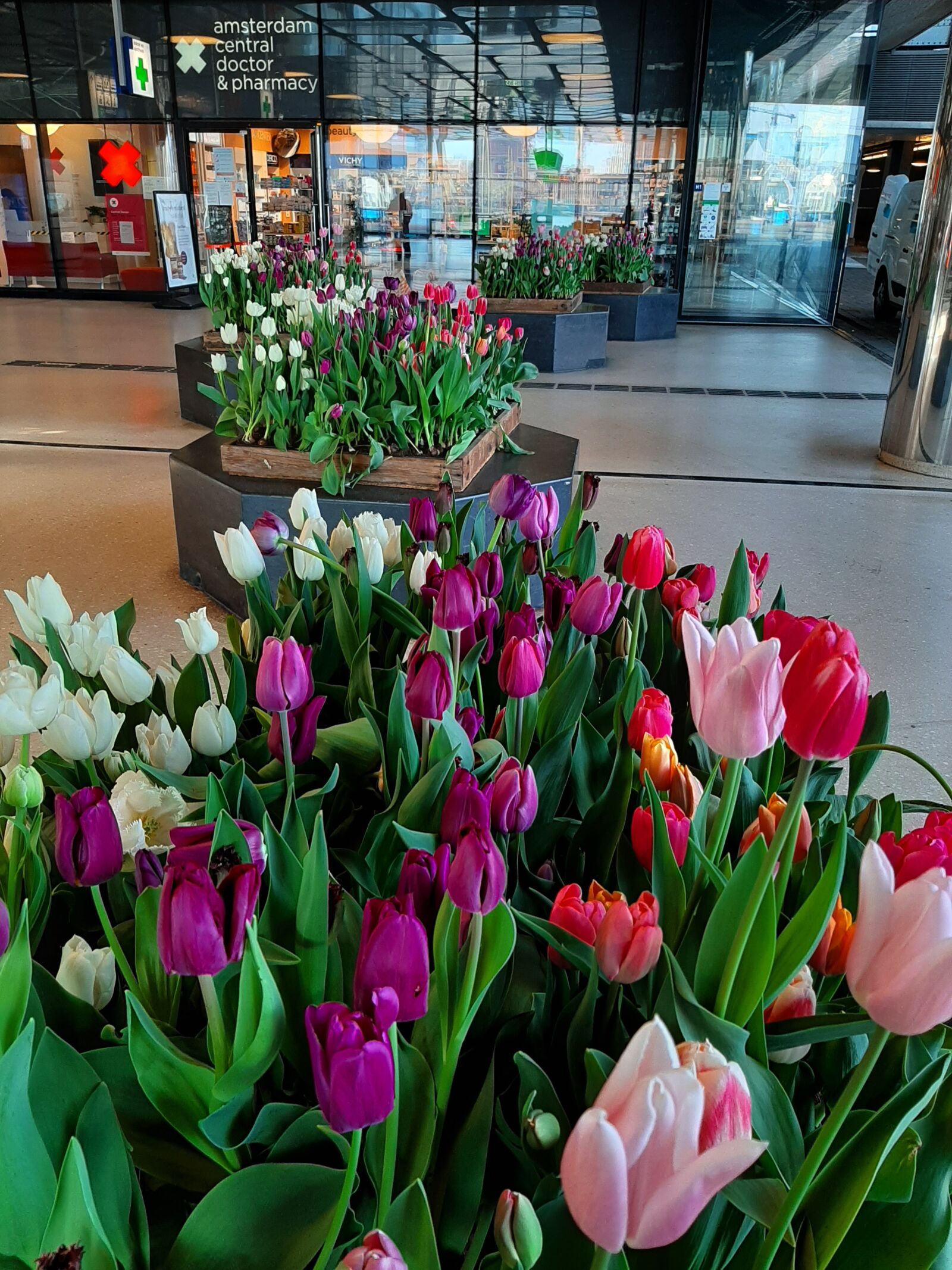 Samsung Galaxy A50 sample photo. Tulips, flowers, amsterdam station photography