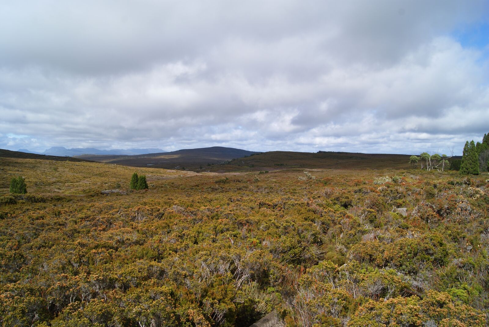 Sony Alpha DSLR-A230 sample photo. Landscape, scenery, wilderness photography
