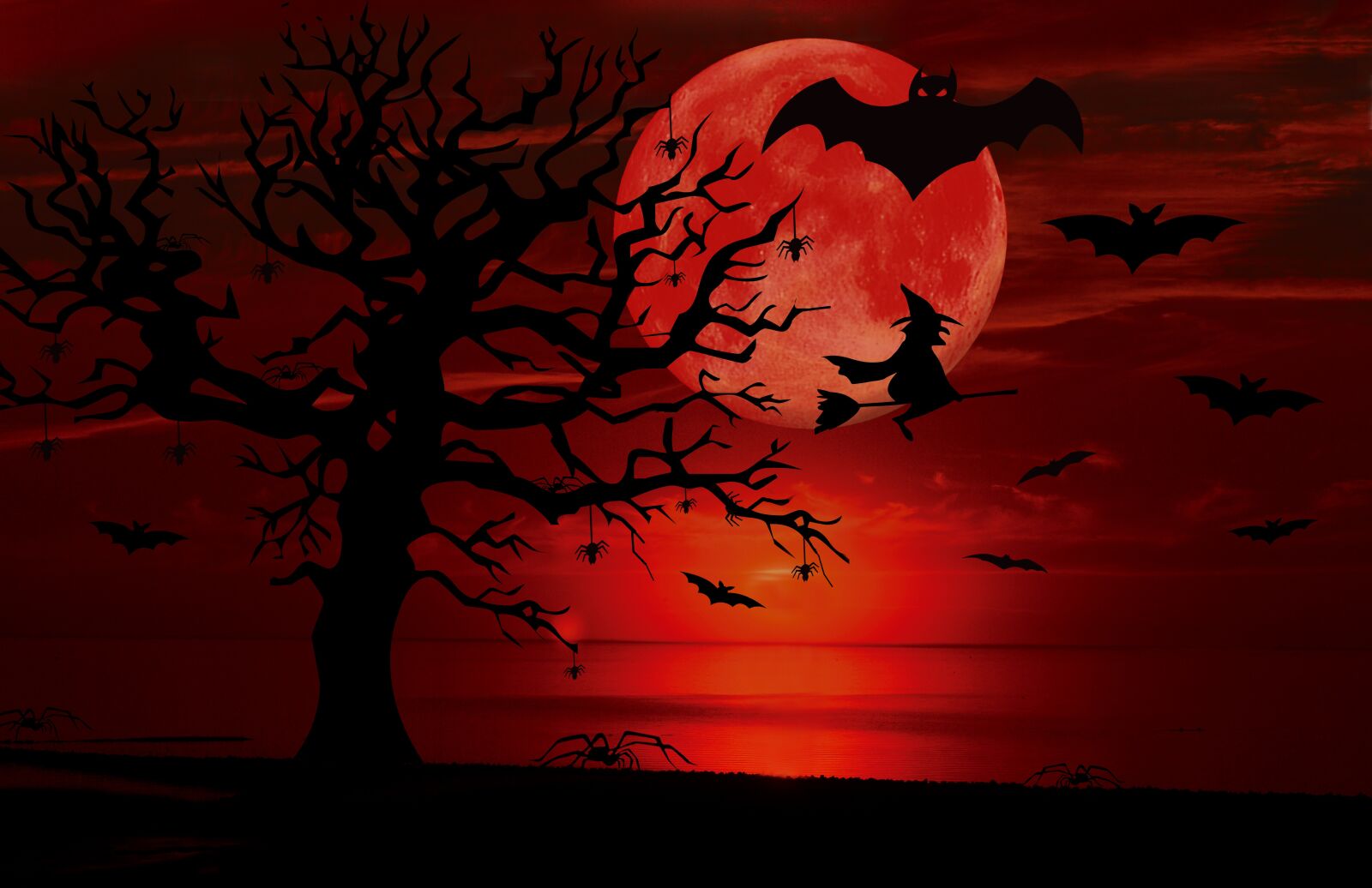 Nikon D3200 sample photo. Halloween, bats, spin photography