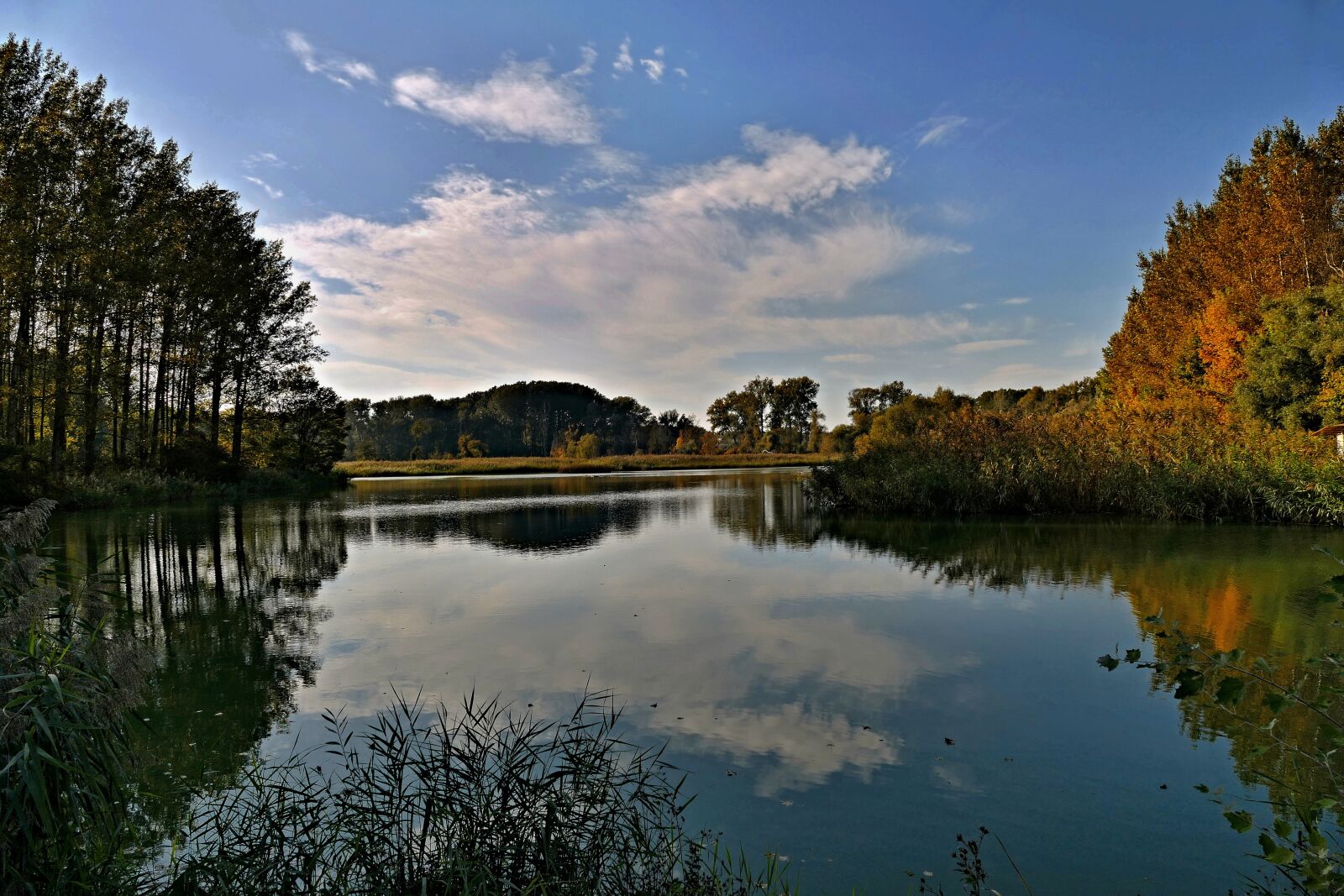 Panasonic Lumix DMC-FZ1000 sample photo. Lake, trees, nature photography