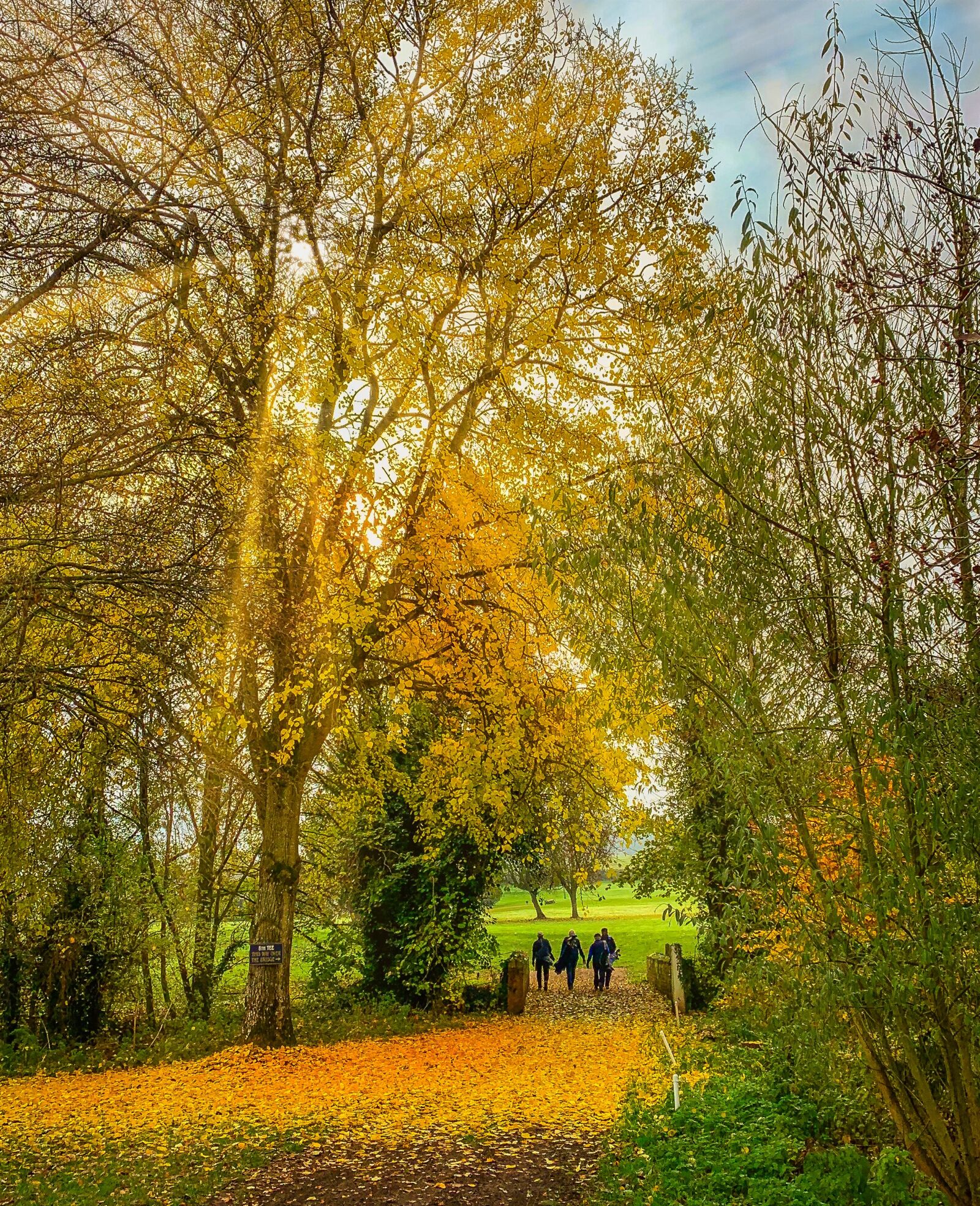 Apple iPhone XR sample photo. Golf, autumn, trees photography