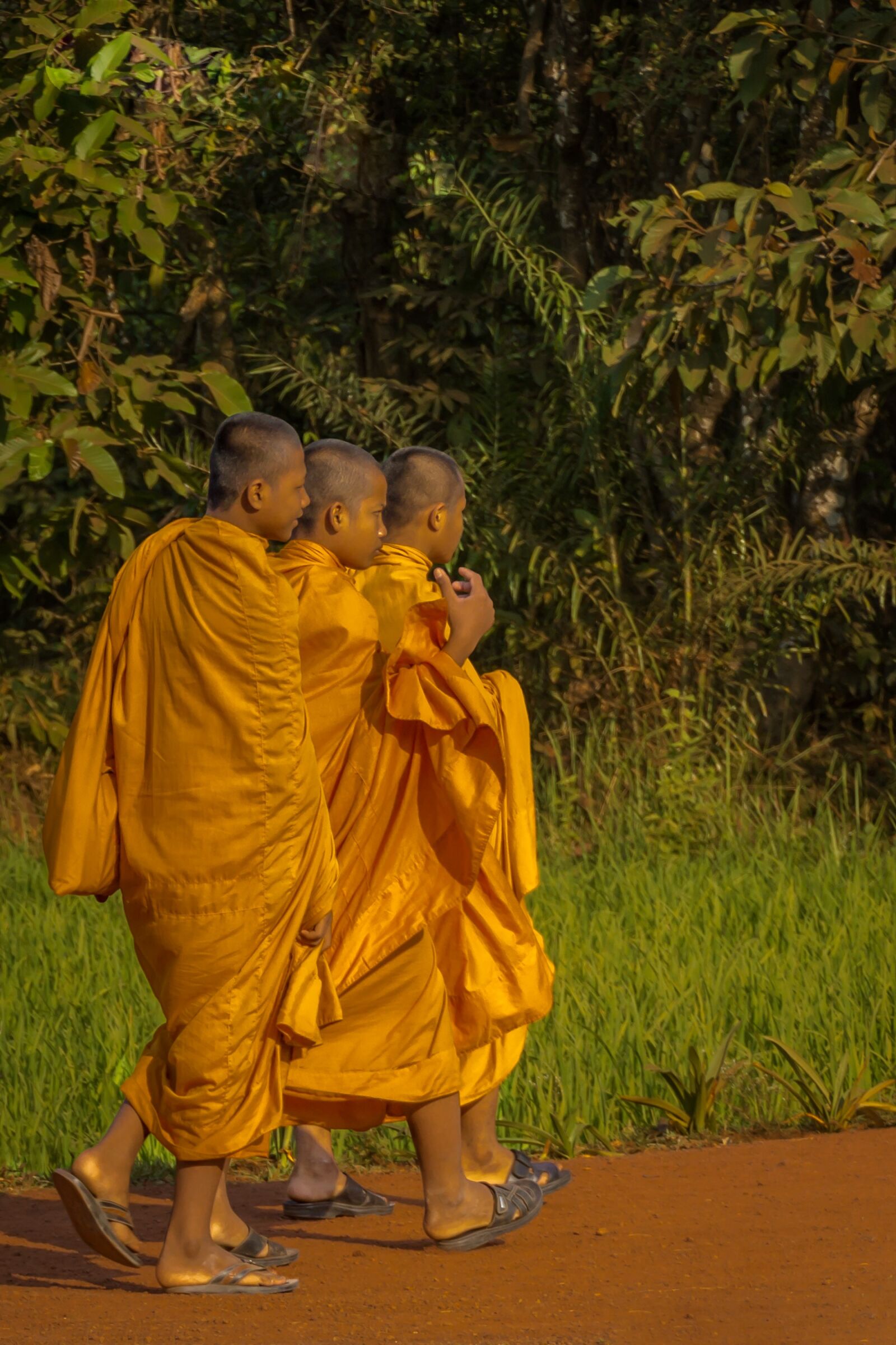 DT 18-270mm F3.5-6.3 SSM sample photo. Monks, buddhism, cambodia photography