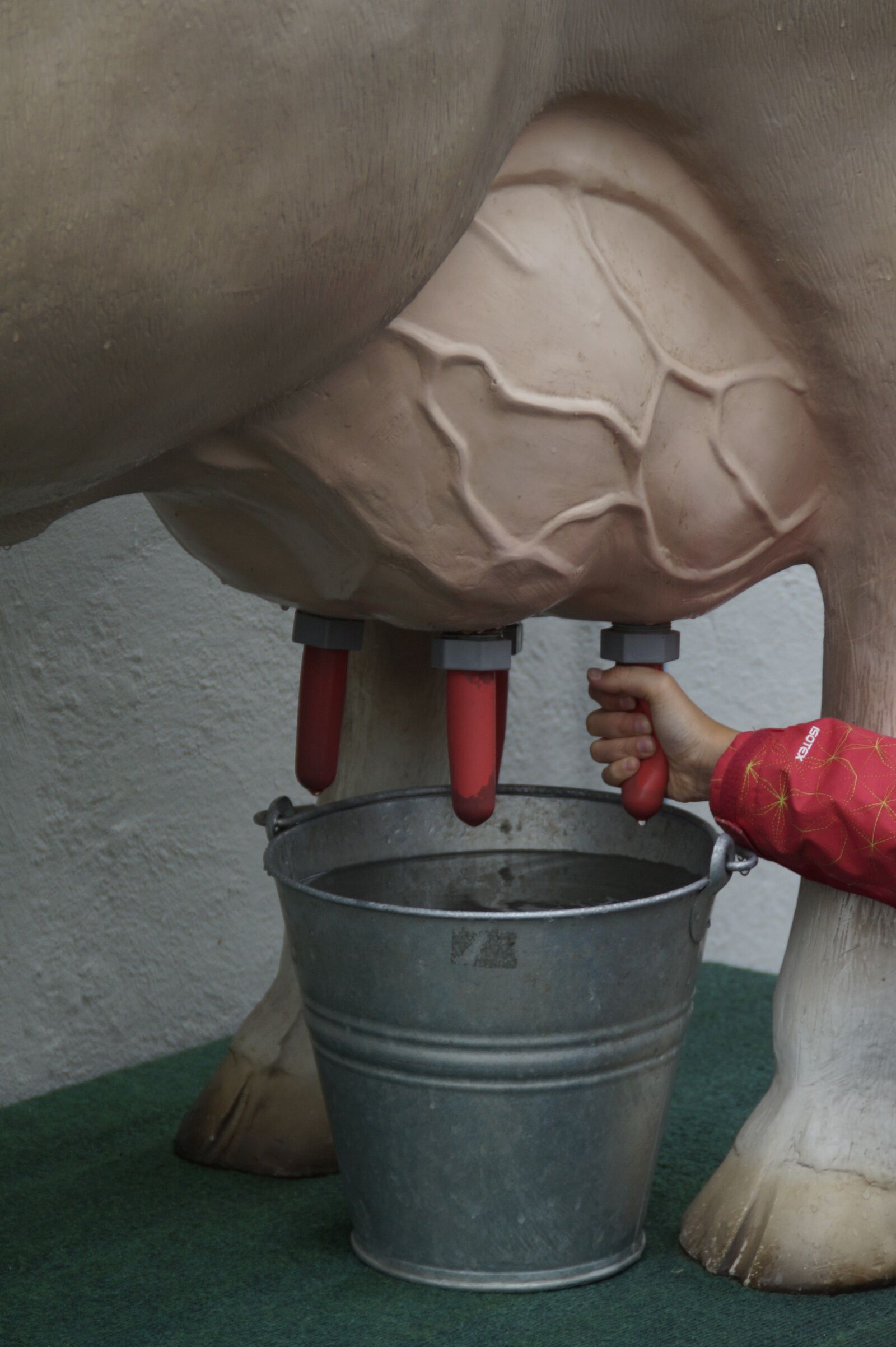 Sony SLT-A58 sample photo. Milk, cow, milk production photography