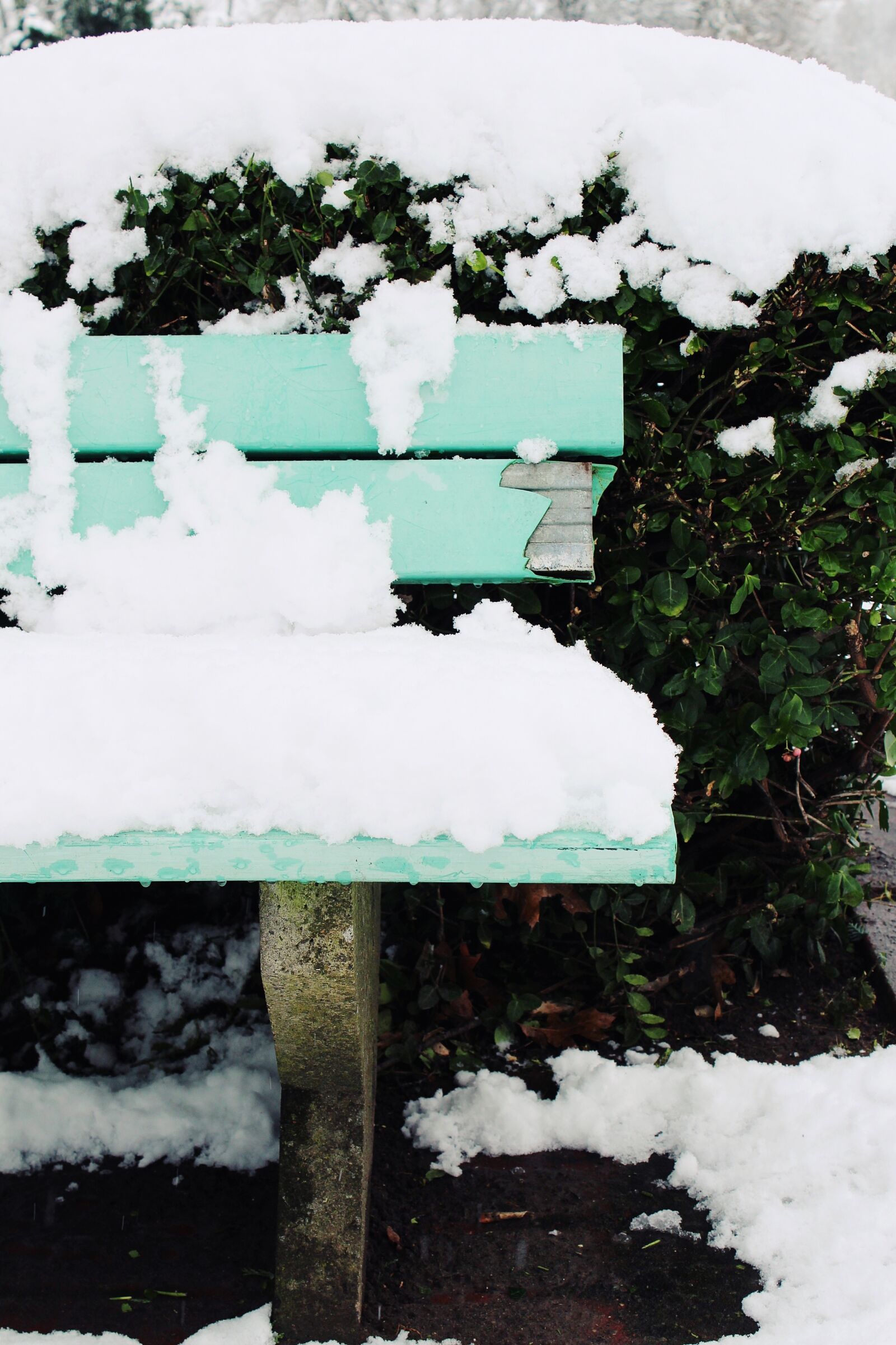 Canon EOS 1200D (EOS Rebel T5 / EOS Kiss X70 / EOS Hi) sample photo. Snow, bank, winter photography