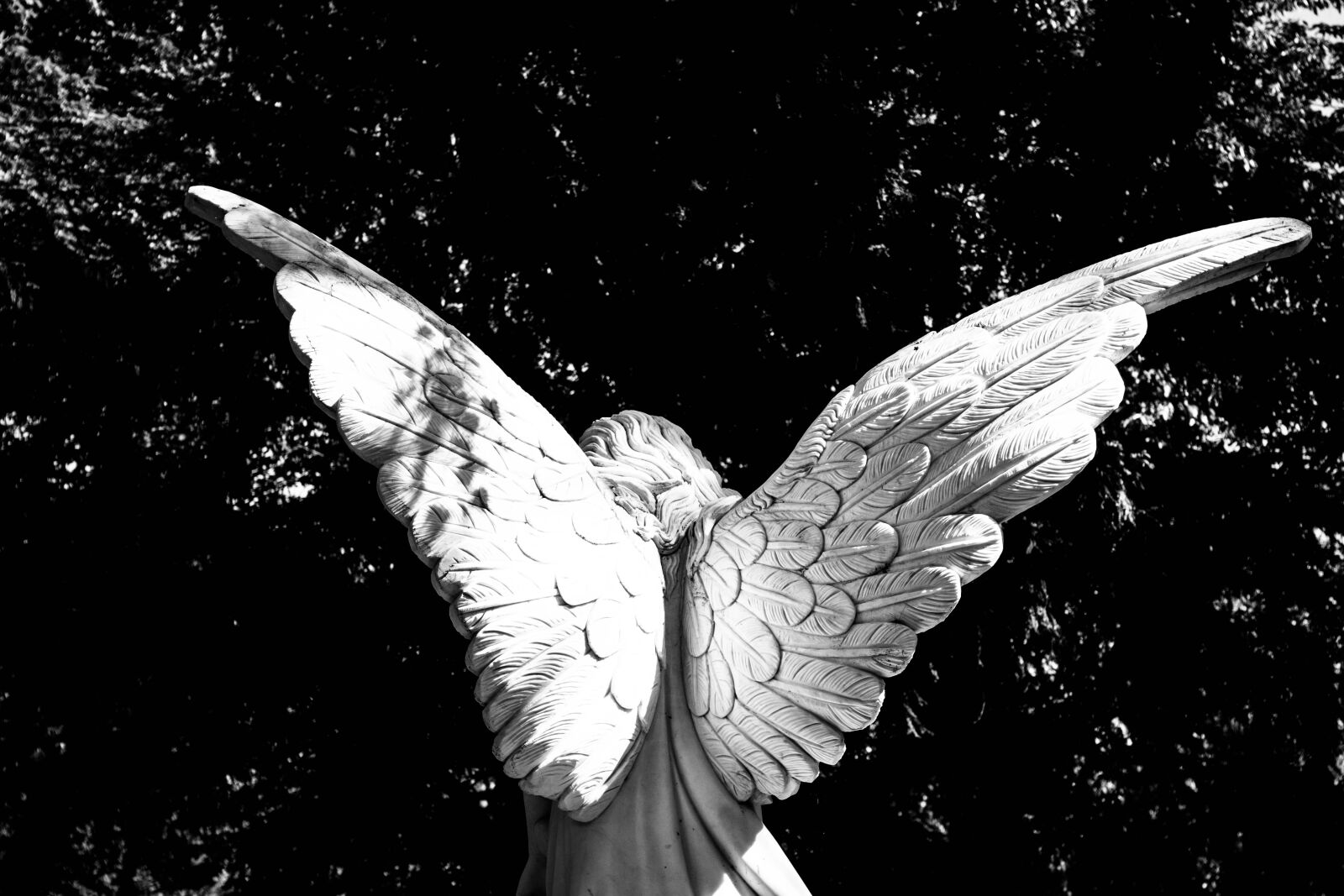 Sony a6500 + Sony Vario-Tessar T* E 16-70mm F4 ZA OSS sample photo. Angel, wing, angel wings photography