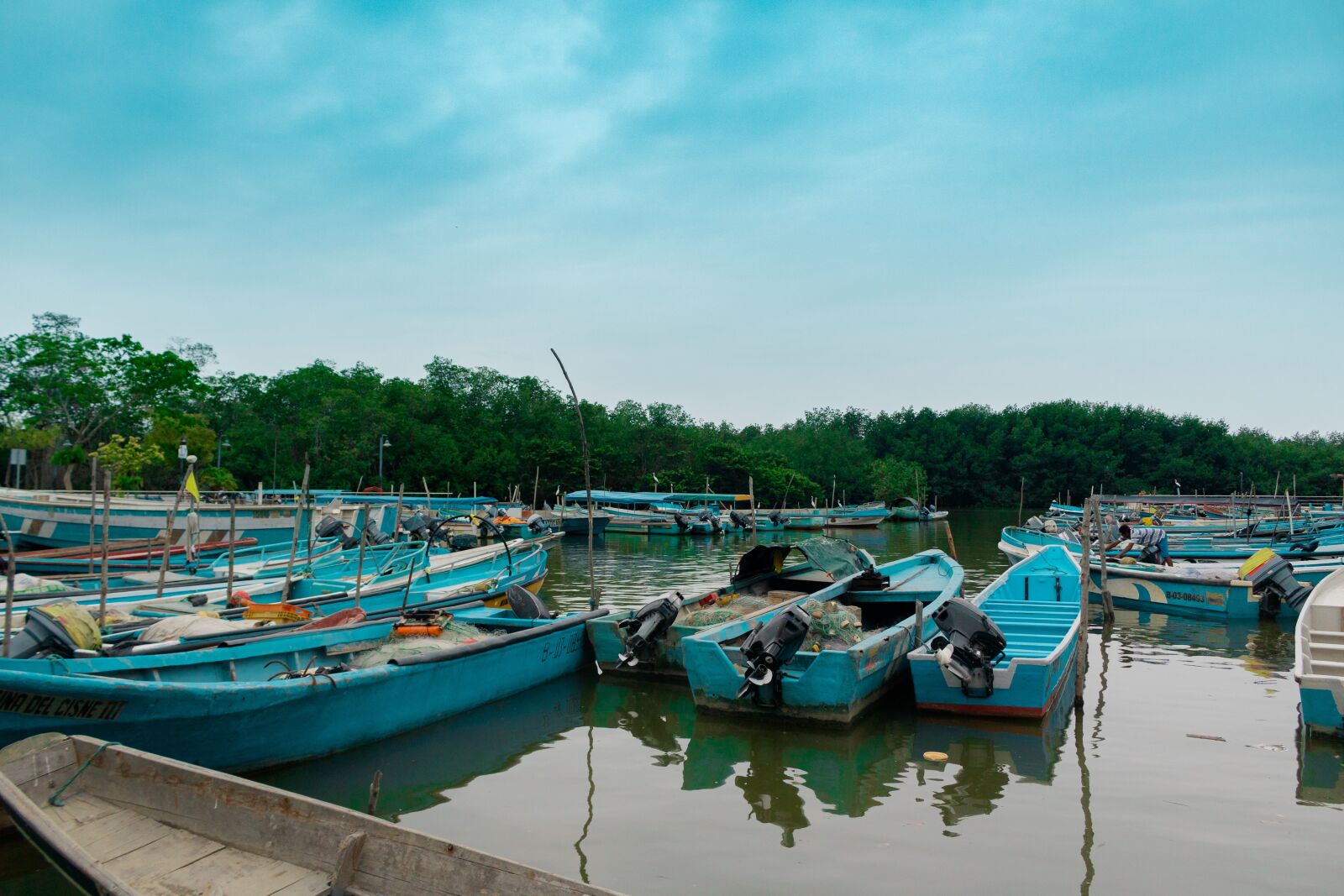 Canon EOS 750D (EOS Rebel T6i / EOS Kiss X8i) sample photo. Boat, fish, fishing photography