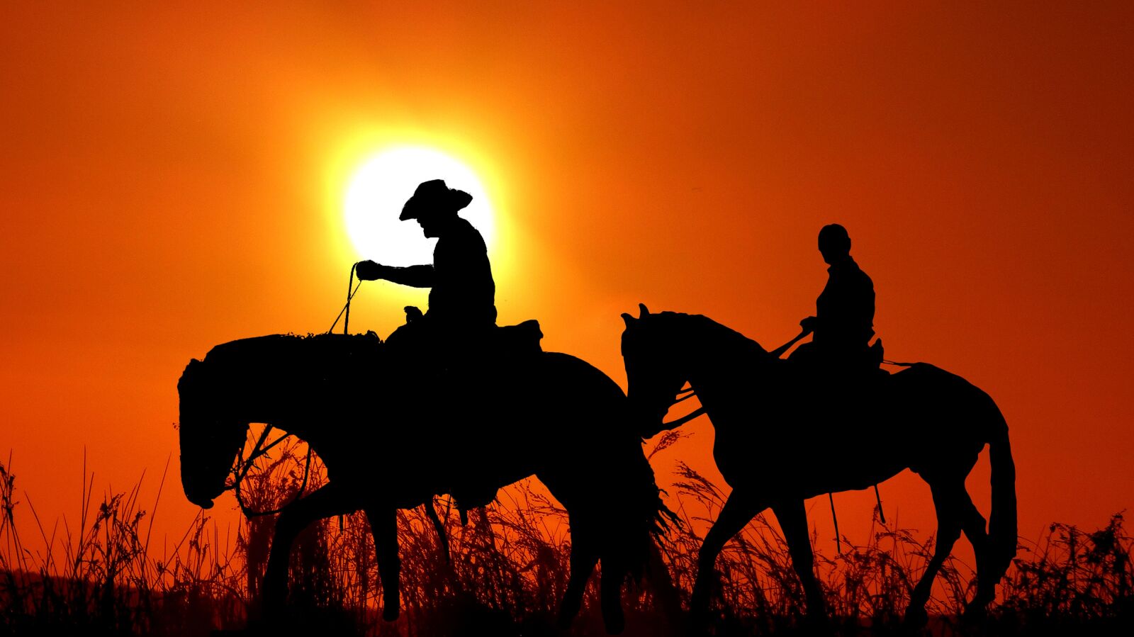 Panasonic Lumix DMC-FZ200 sample photo. Sunset, riders, silhouette photography