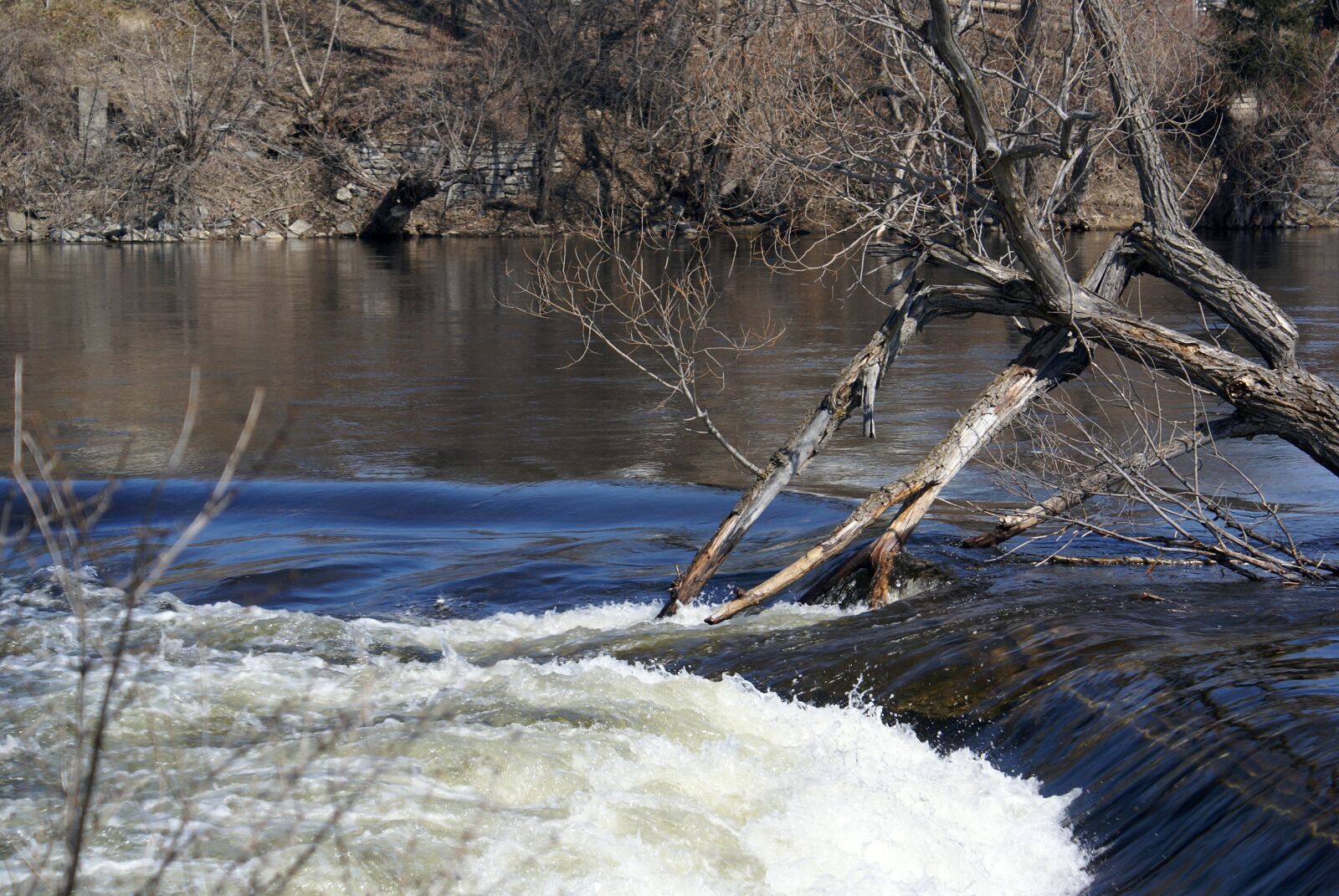 Sony Alpha DSLR-A100 sample photo. Spring, river, flooding photography