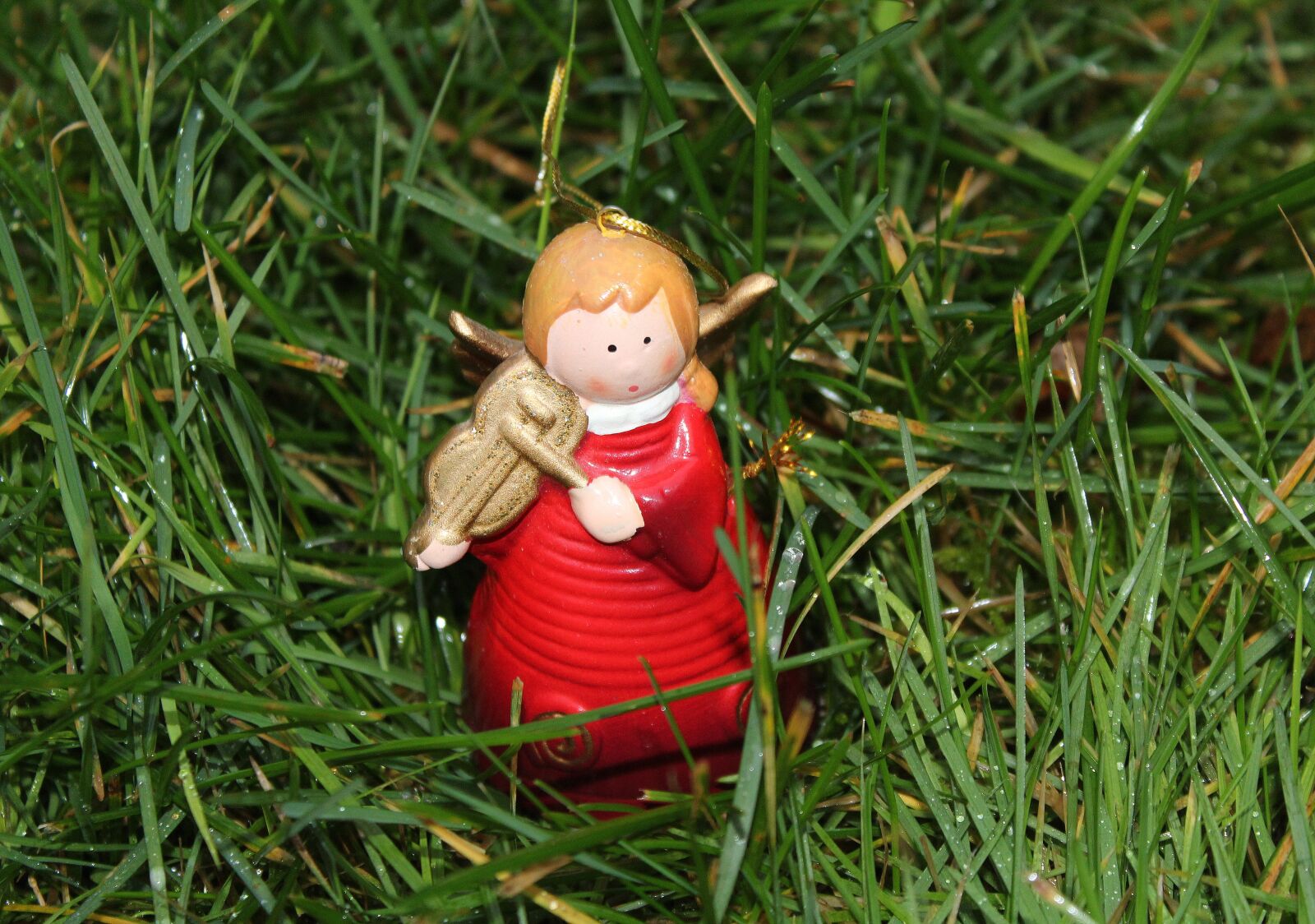 Canon EOS 1200D (EOS Rebel T5 / EOS Kiss X70 / EOS Hi) sample photo. Angel, the figurine, grass photography