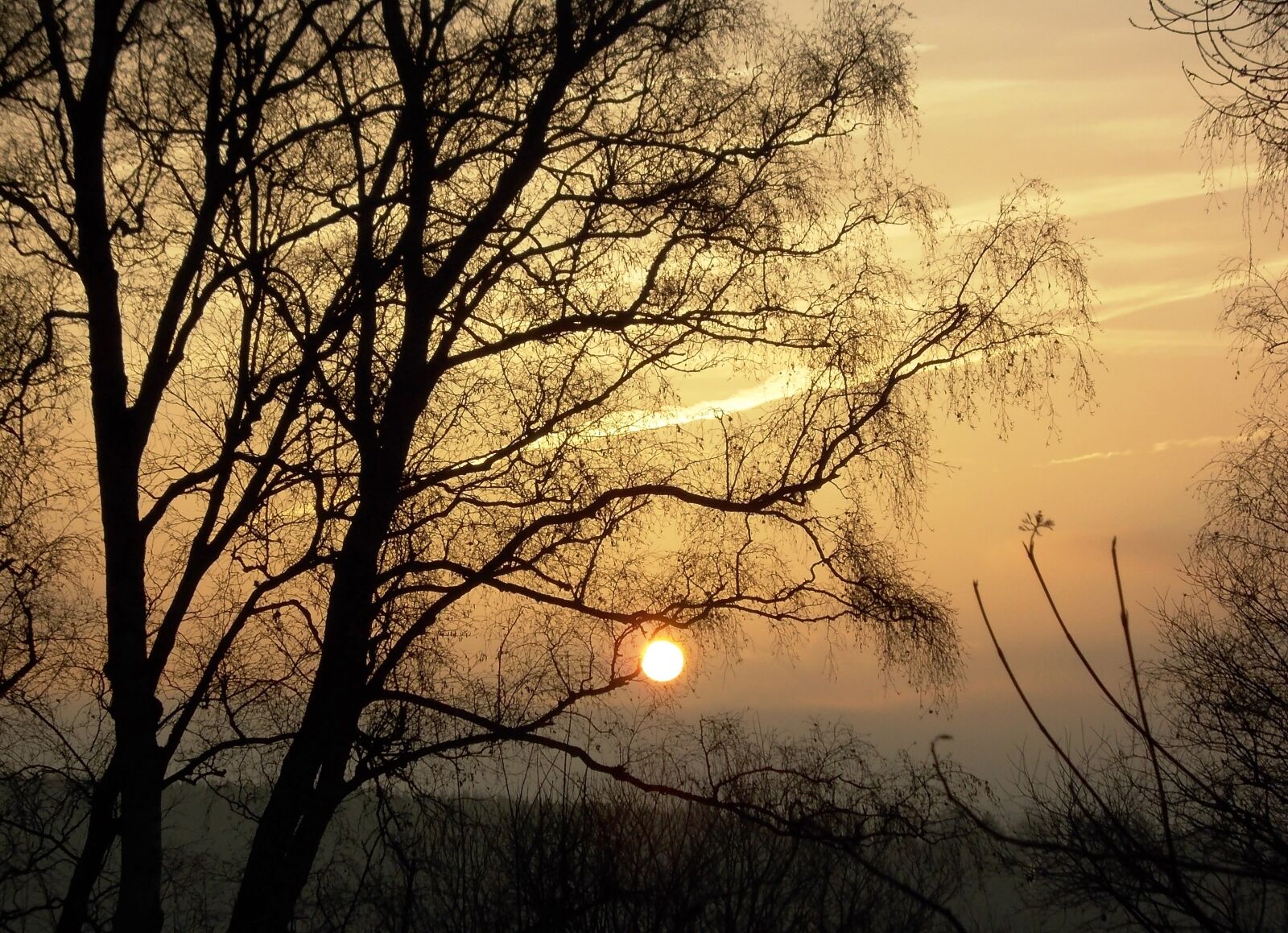 Nikon COOLPIX L23 sample photo. Sunrise, autumn, landscape photography