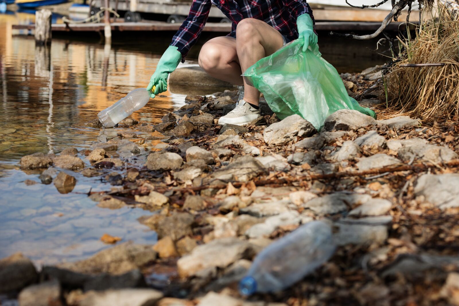 Sigma 85mm F1.4 DG HSM Art sample photo. Nature, garbage, pollution photography