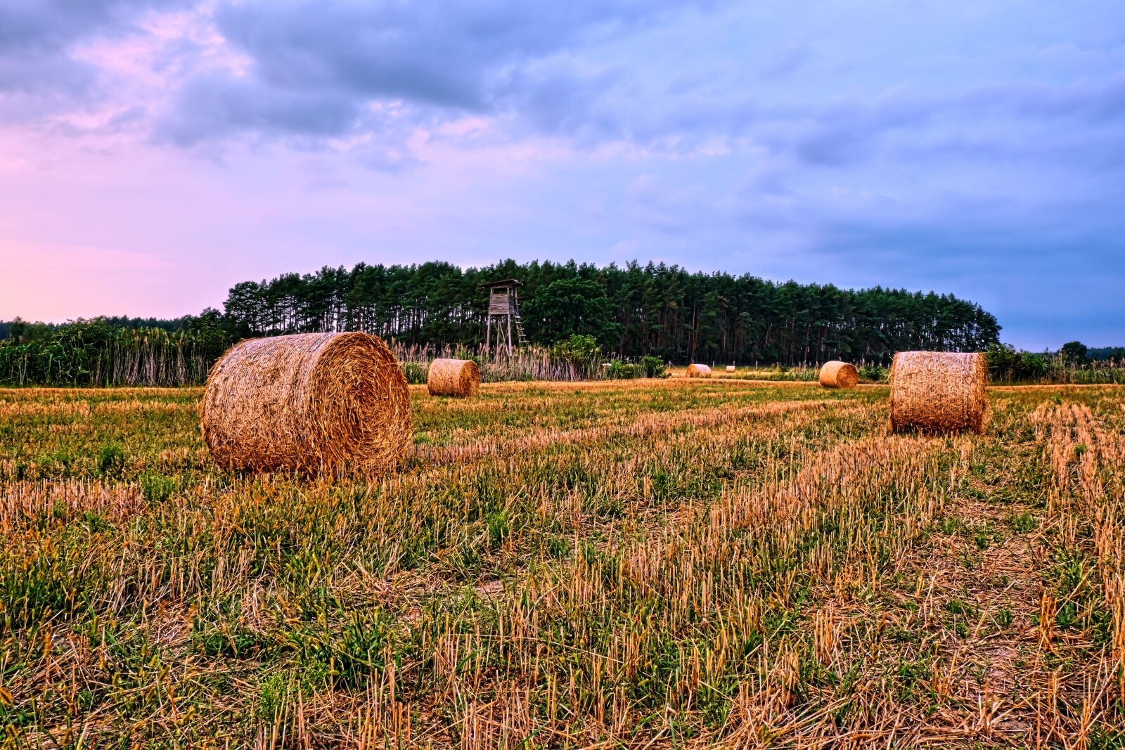 Fujifilm X-T20 sample photo. Agriculture, machine, hdr photography