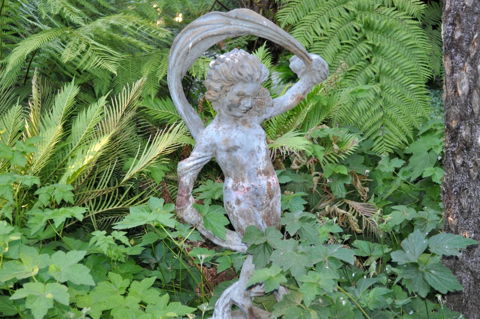 Nikon D5000 sample photo. Ferns, garden, greenery photography