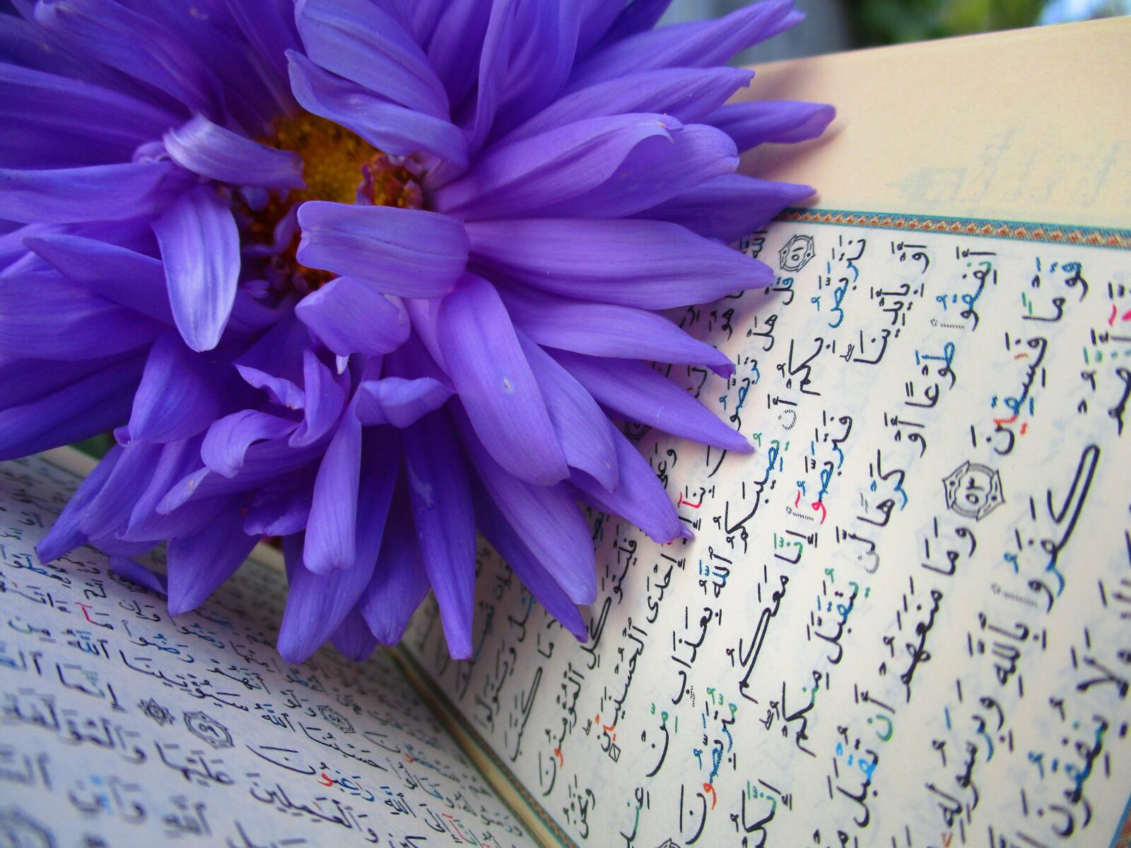 Canon IXUS 185 sample photo. Quran, shrine, scripture photography