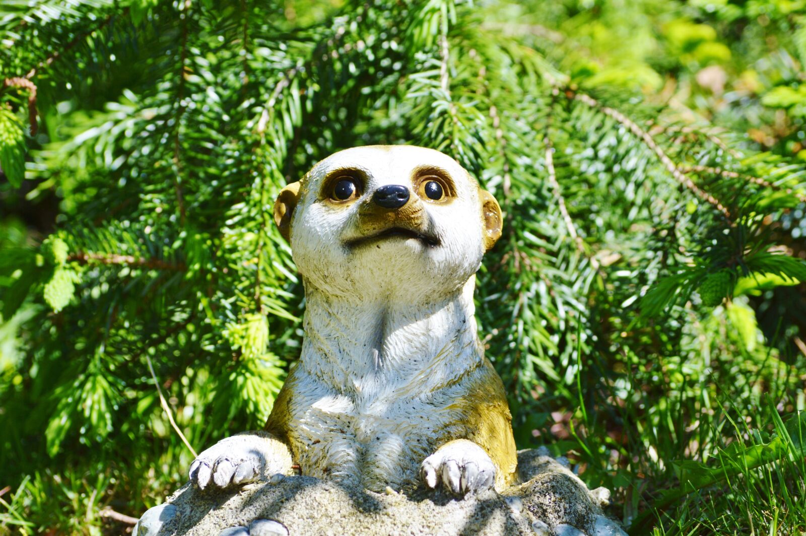 Nikon D3200 sample photo. Meerkat, figure, decoration photography