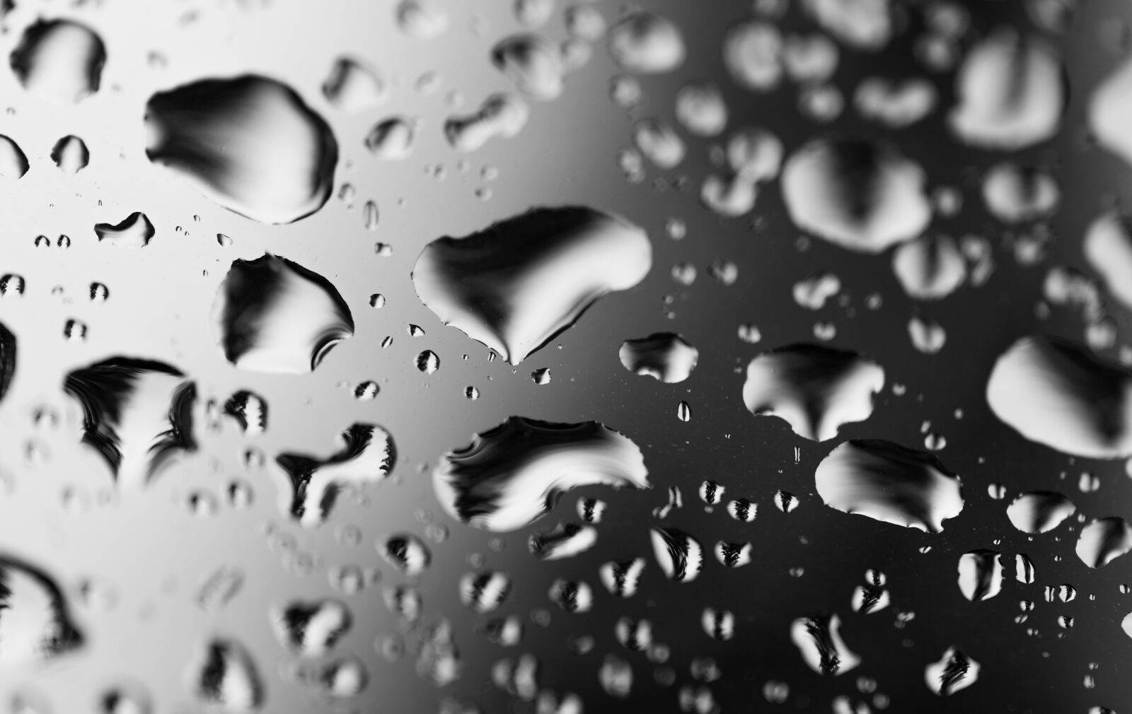 Canon EF 100mm F2.8L Macro IS USM sample photo. Drip, raindrop, water photography