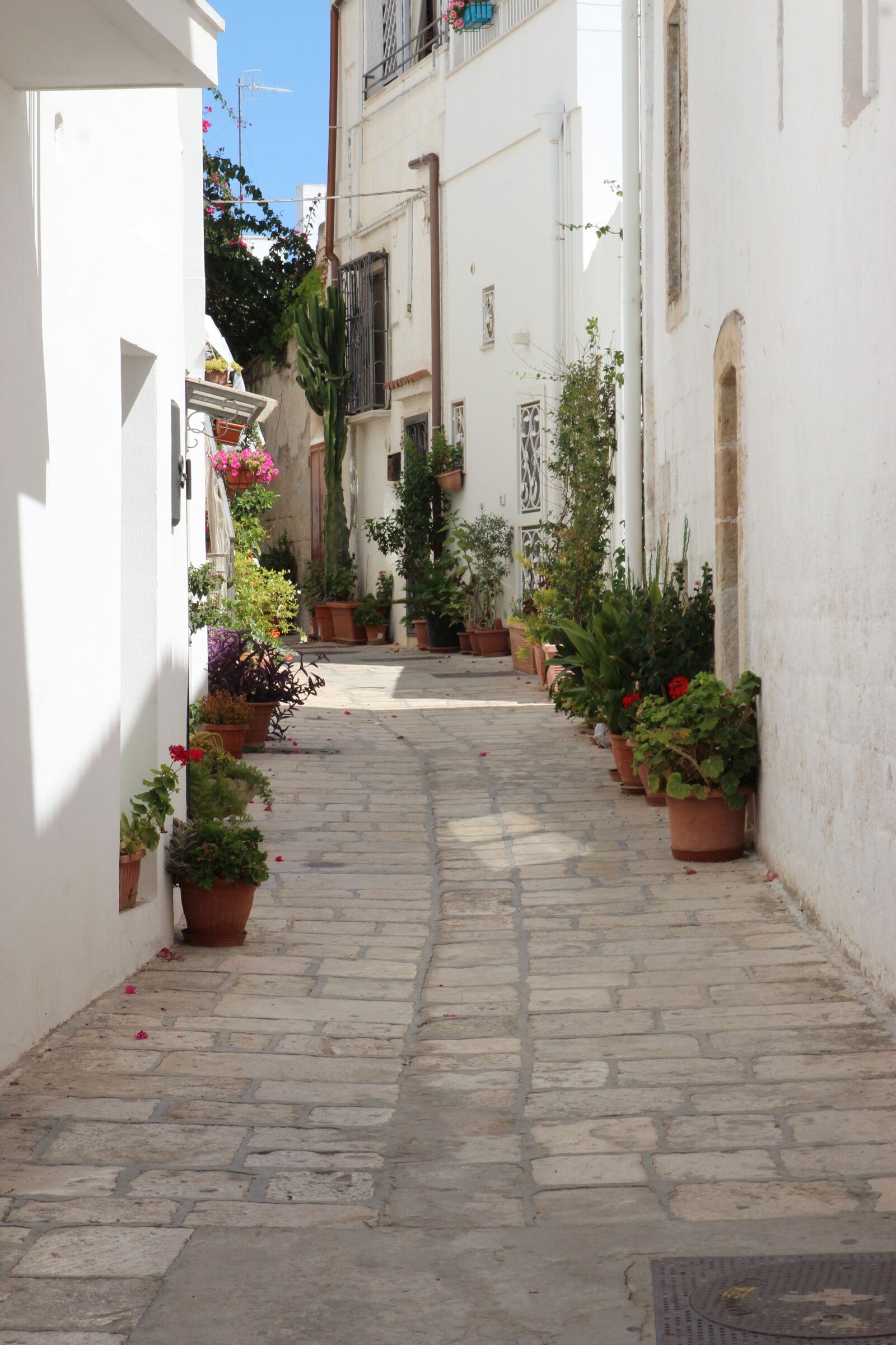 Canon EOS 600D (Rebel EOS T3i / EOS Kiss X5) sample photo. Italy, puglia, glimpse photography