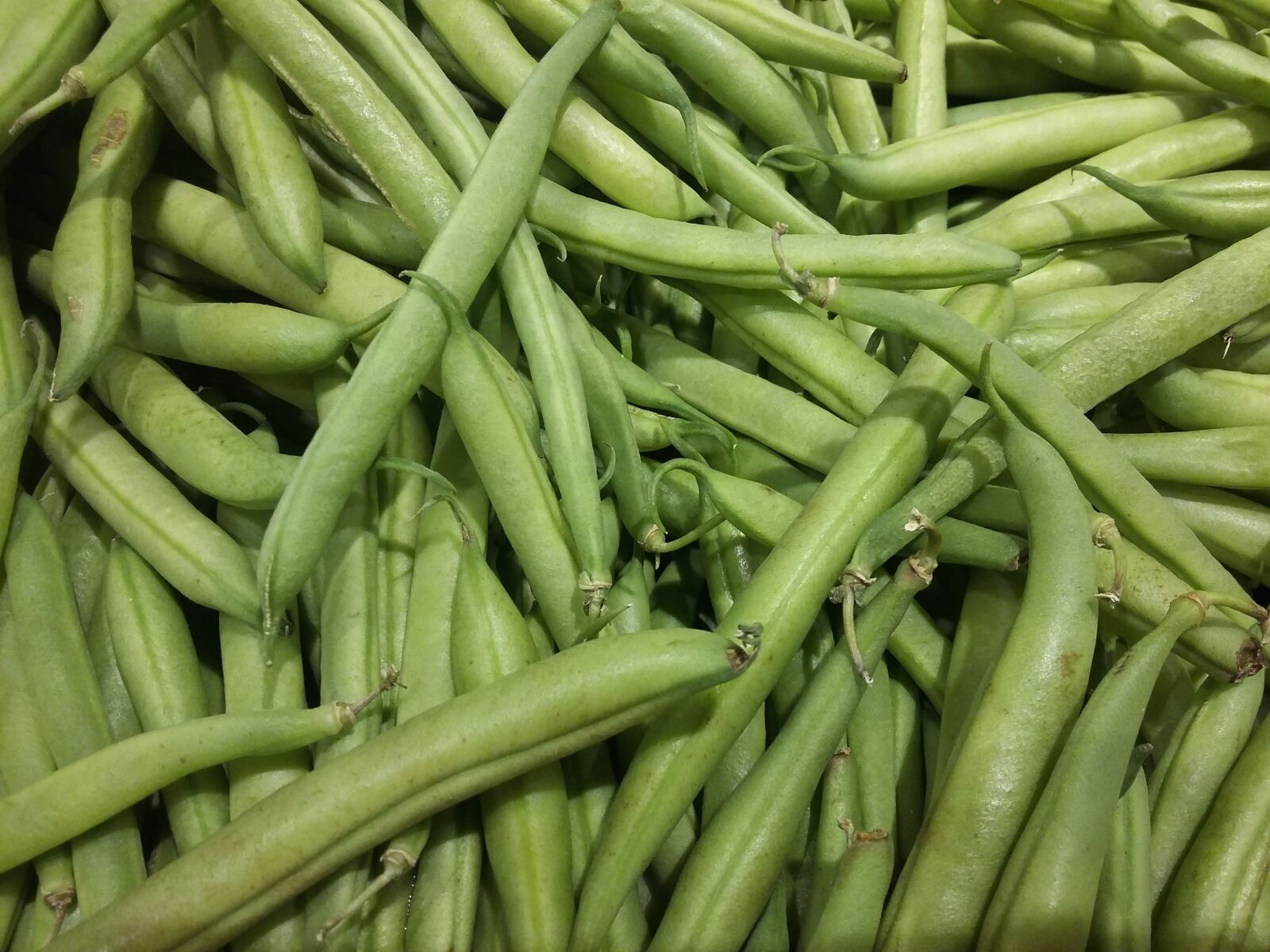 Samsung Galaxy Grand Prime sample photo. Beans, food, eat photography