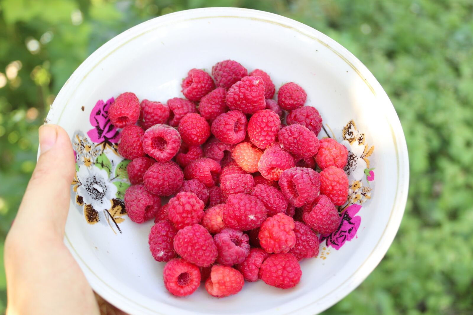 Canon EOS 100D (EOS Rebel SL1 / EOS Kiss X7) sample photo. Raspberries, berries, summer photography