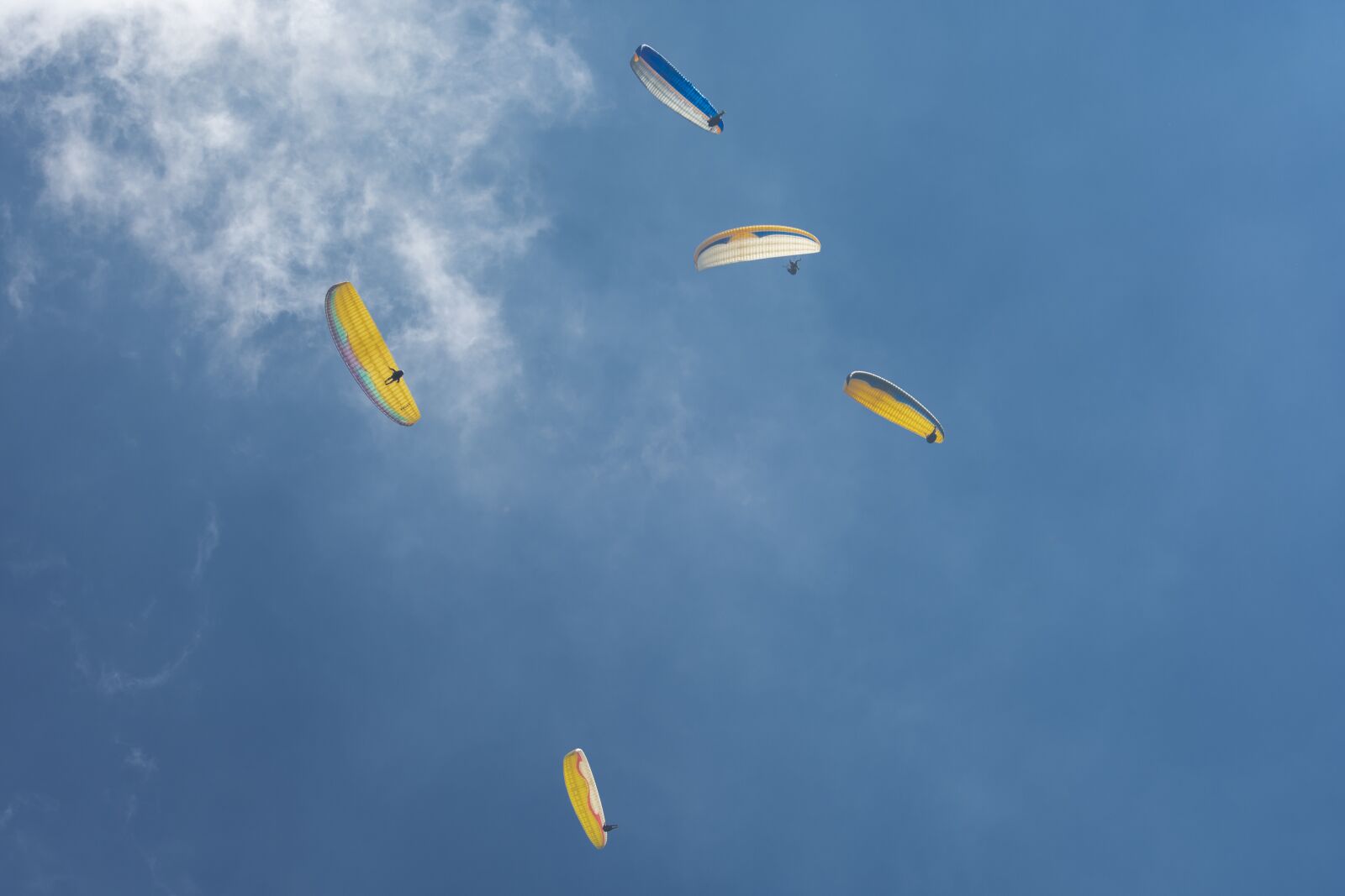 Nikon D7100 sample photo. Paraglider, flight, paragliding photography
