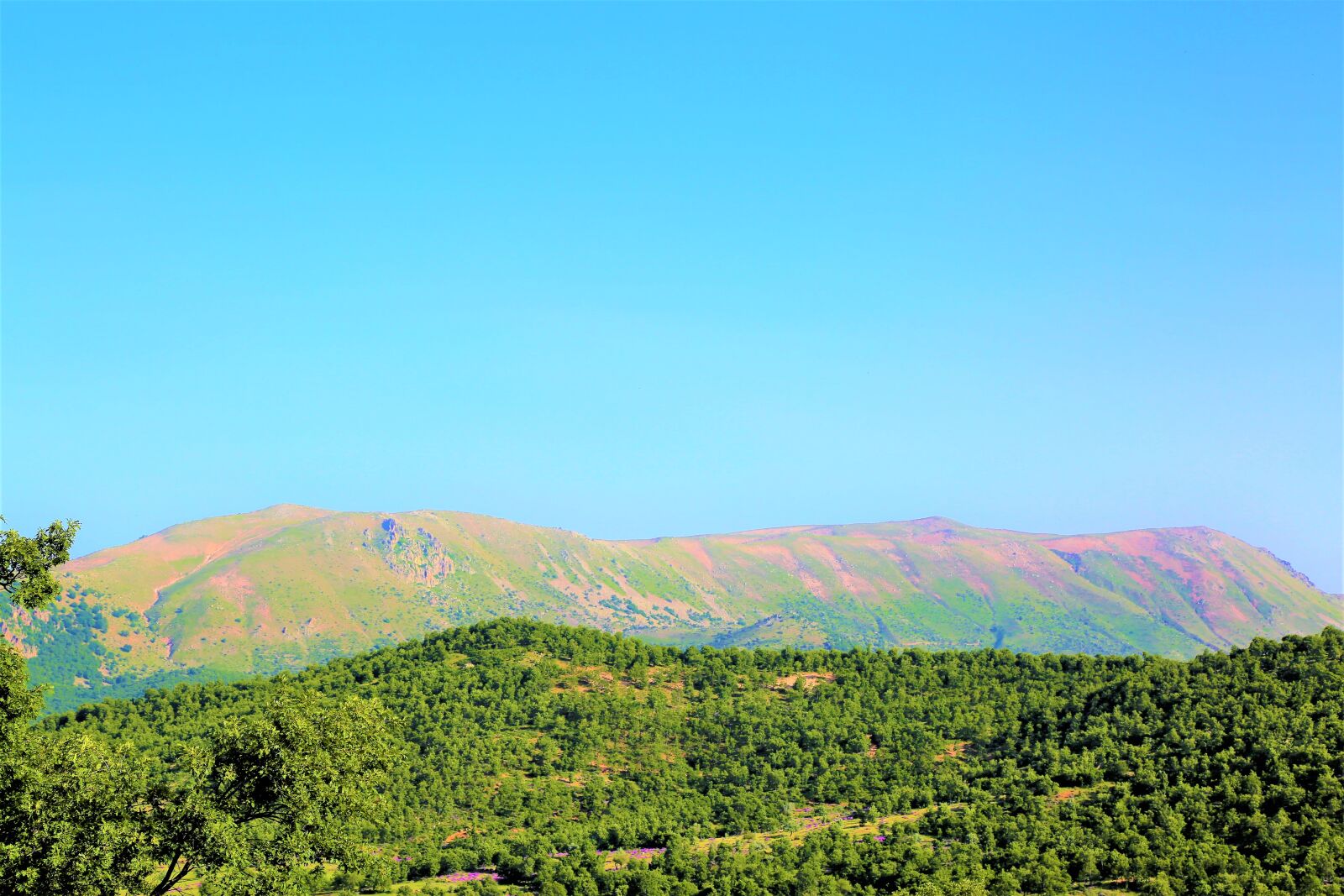 Canon EOS 5D Mark III sample photo. Mountain, landscape, nature photography
