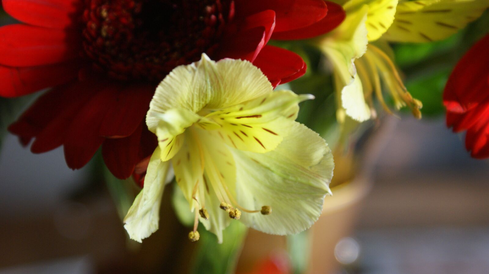 Sony Alpha DSLR-A350 sample photo. Flower, lily, vegetable photography