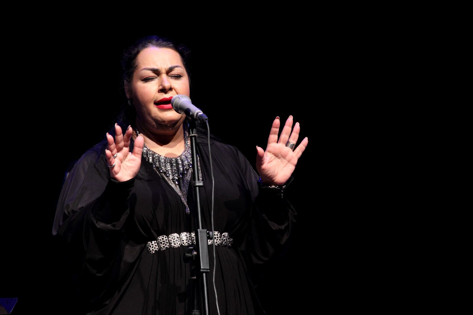 Canon EOS 550D (EOS Rebel T2i / EOS Kiss X4) sample photo. Music, singer, vocals photography
