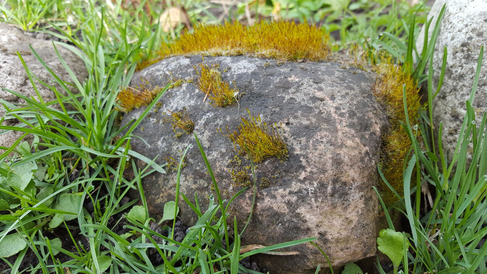Samsung Galaxy S6 sample photo. Nature, rock photography
