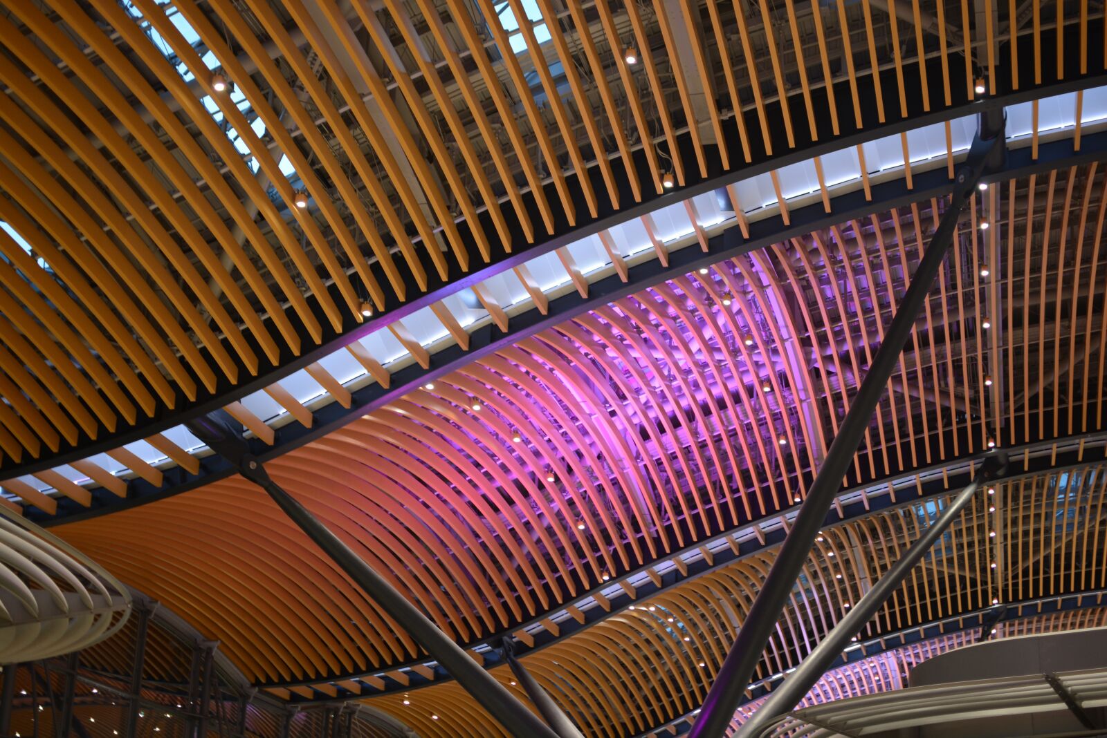 Nikon D7100 sample photo. Terminal, ceiling, architecture photography