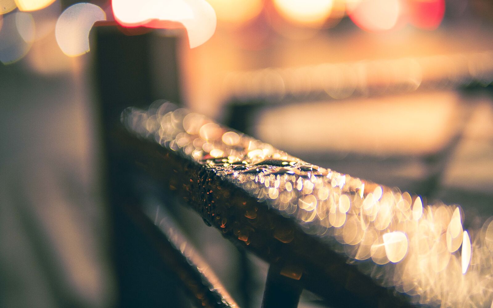 Sony a7 IV sample photo