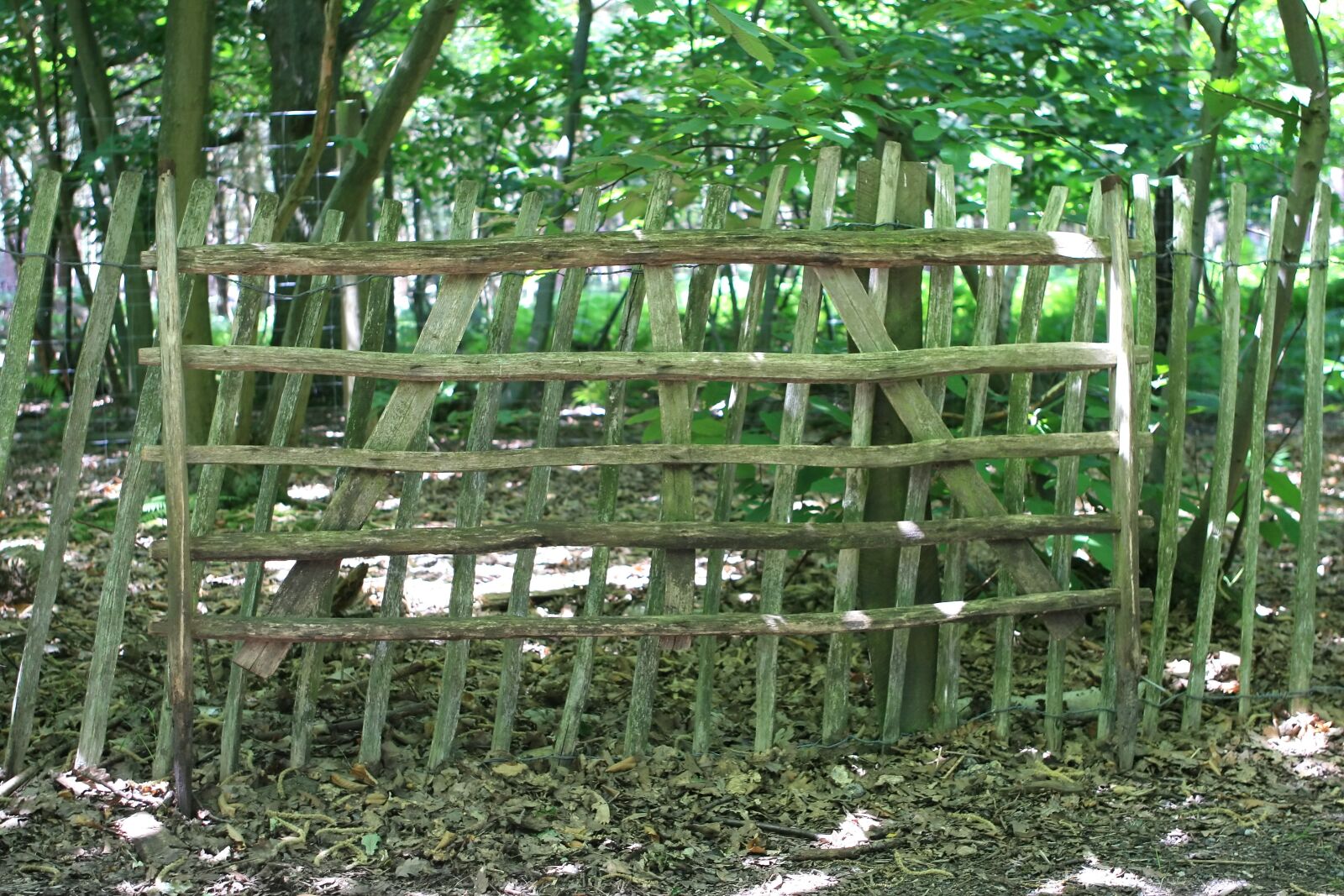 Canon EOS 30D sample photo. Boundary, fence, fencing photography