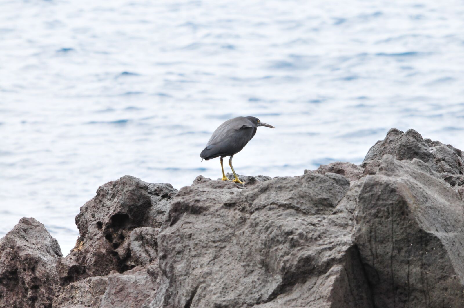 Nikon D300 sample photo. Waters, sea, natural photography