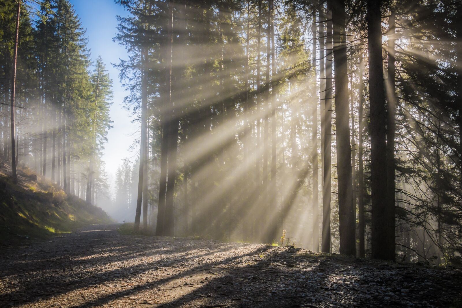 Canon EOS 70D sample photo. Sunbeam, sun, fog photography