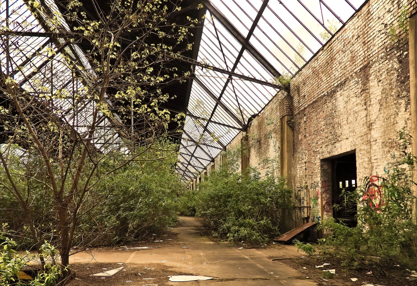 Olympus OM-D E-M10 sample photo. Lost places, old, decay photography