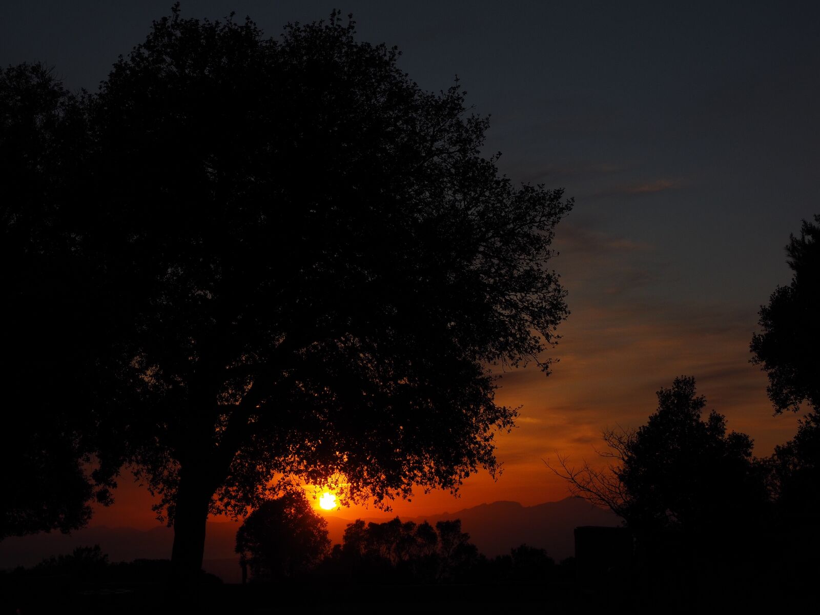 Olympus OM-D E-M1 + Olympus M.Zuiko Digital ED 12-40mm F2.8 Pro sample photo. Evening sun, afterglow, sky photography