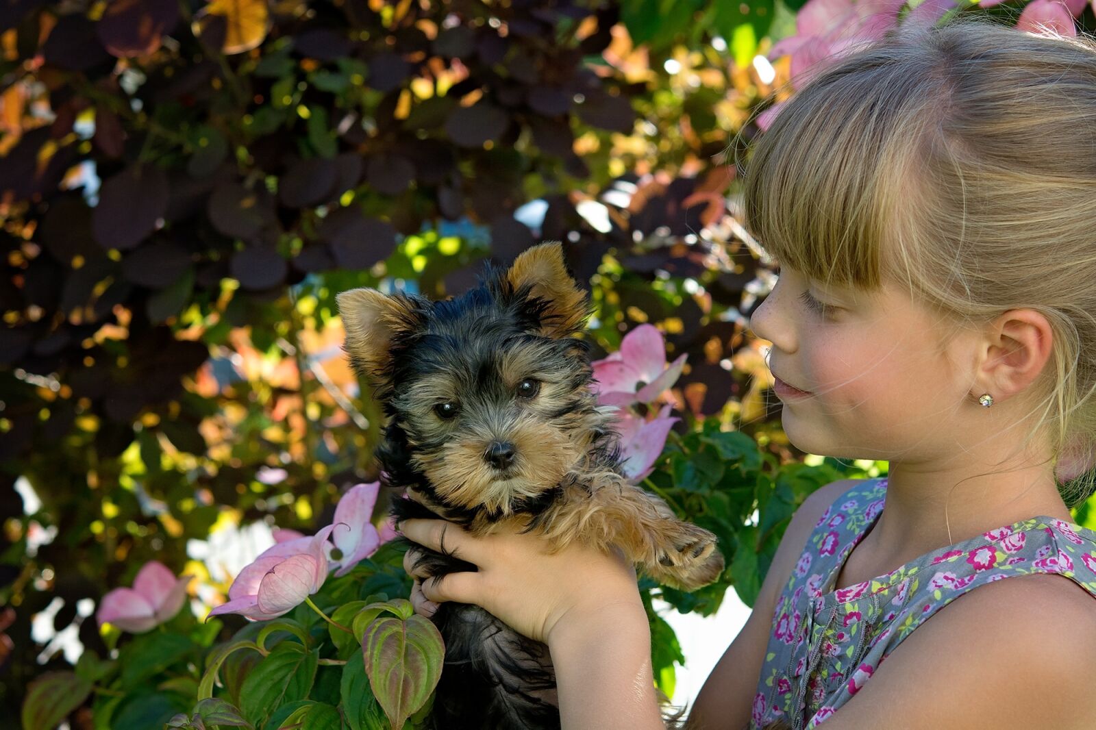 Nikon D7100 sample photo. Child, girl, blond photography